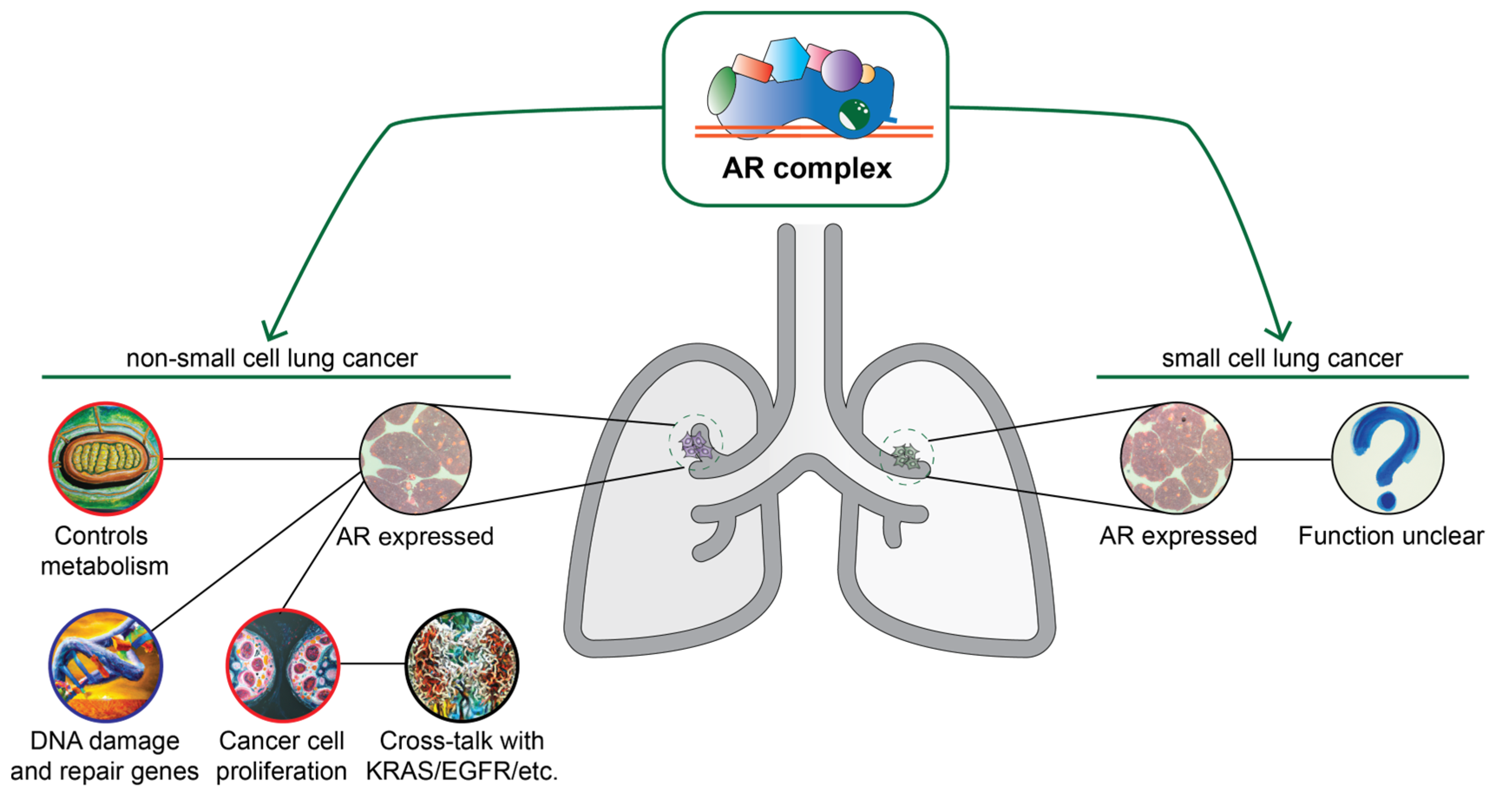 Endocrines 04 00022 g003