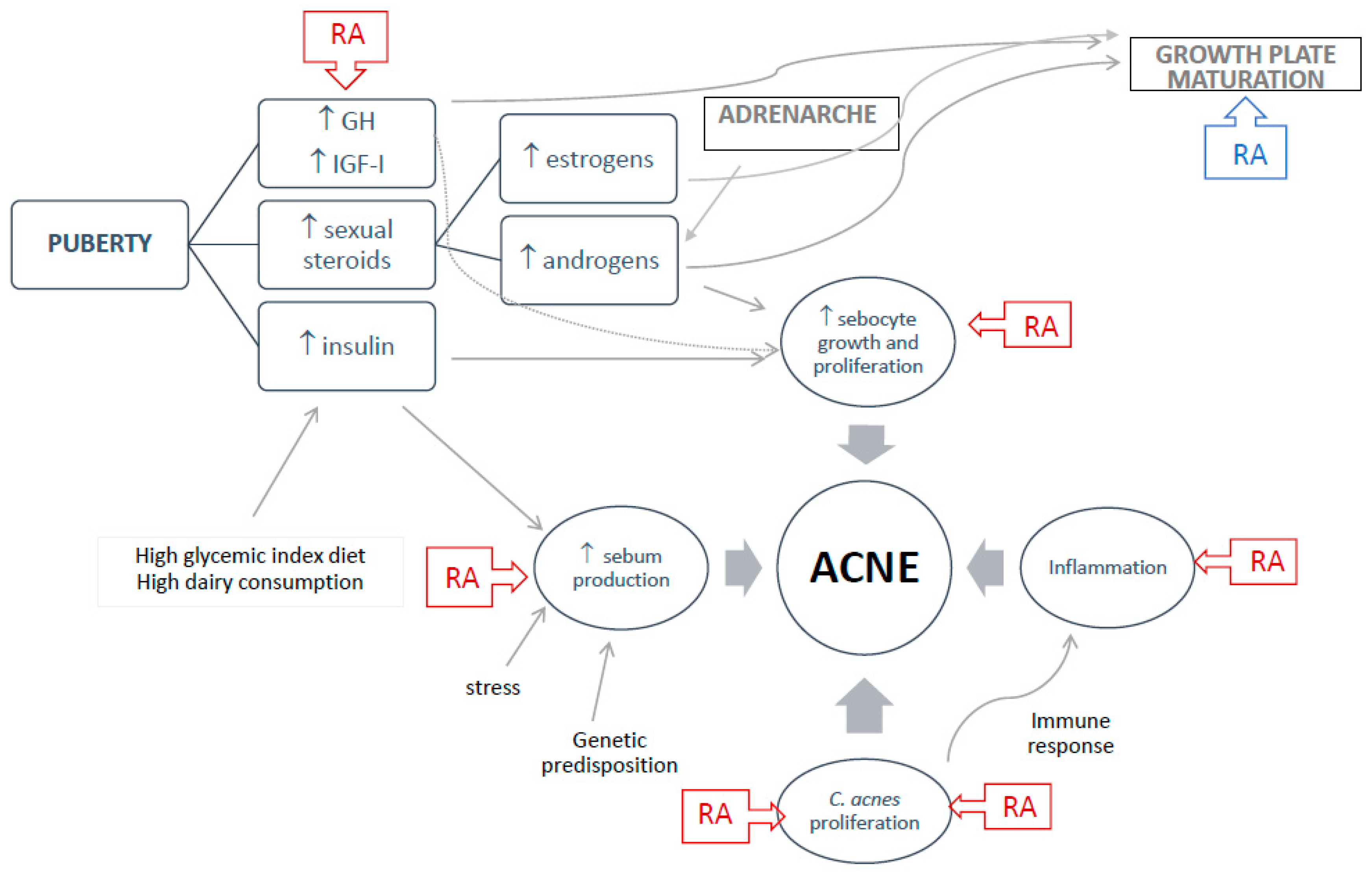 Endocrines 04 00023 g001