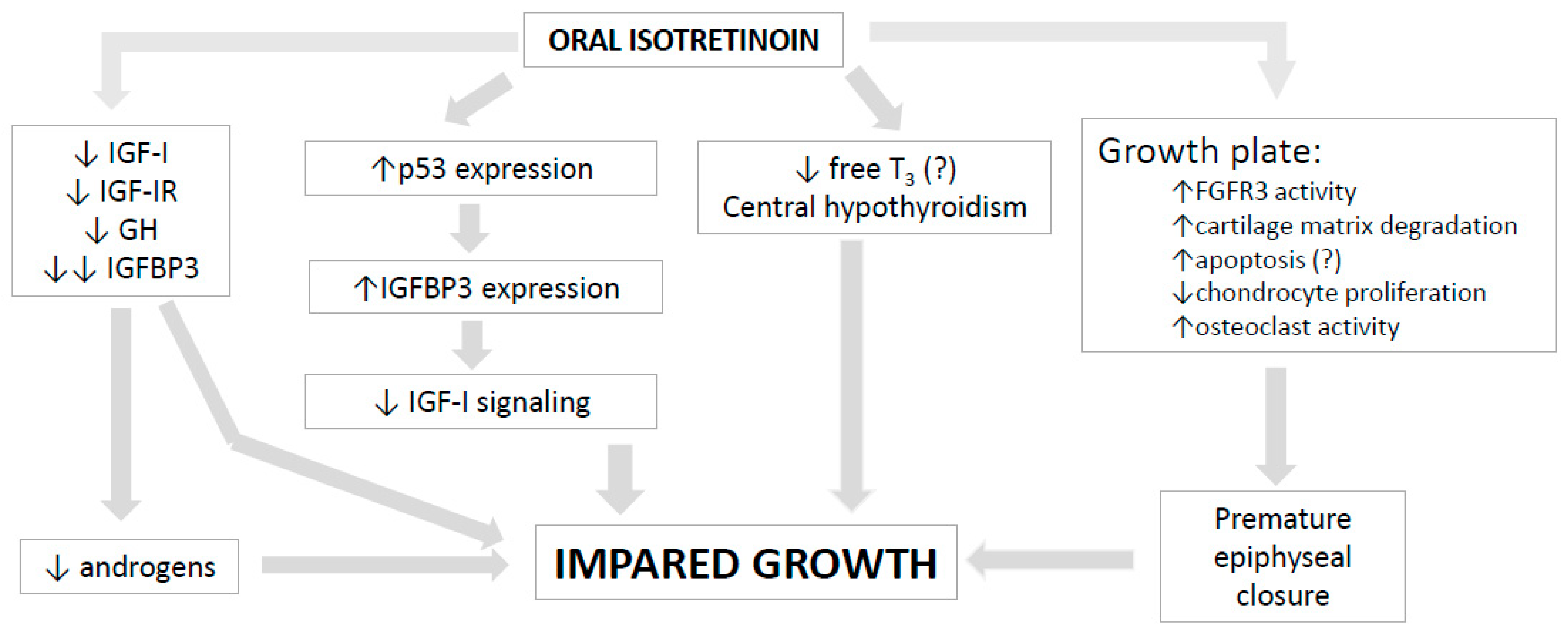 Endocrines 04 00023 g002