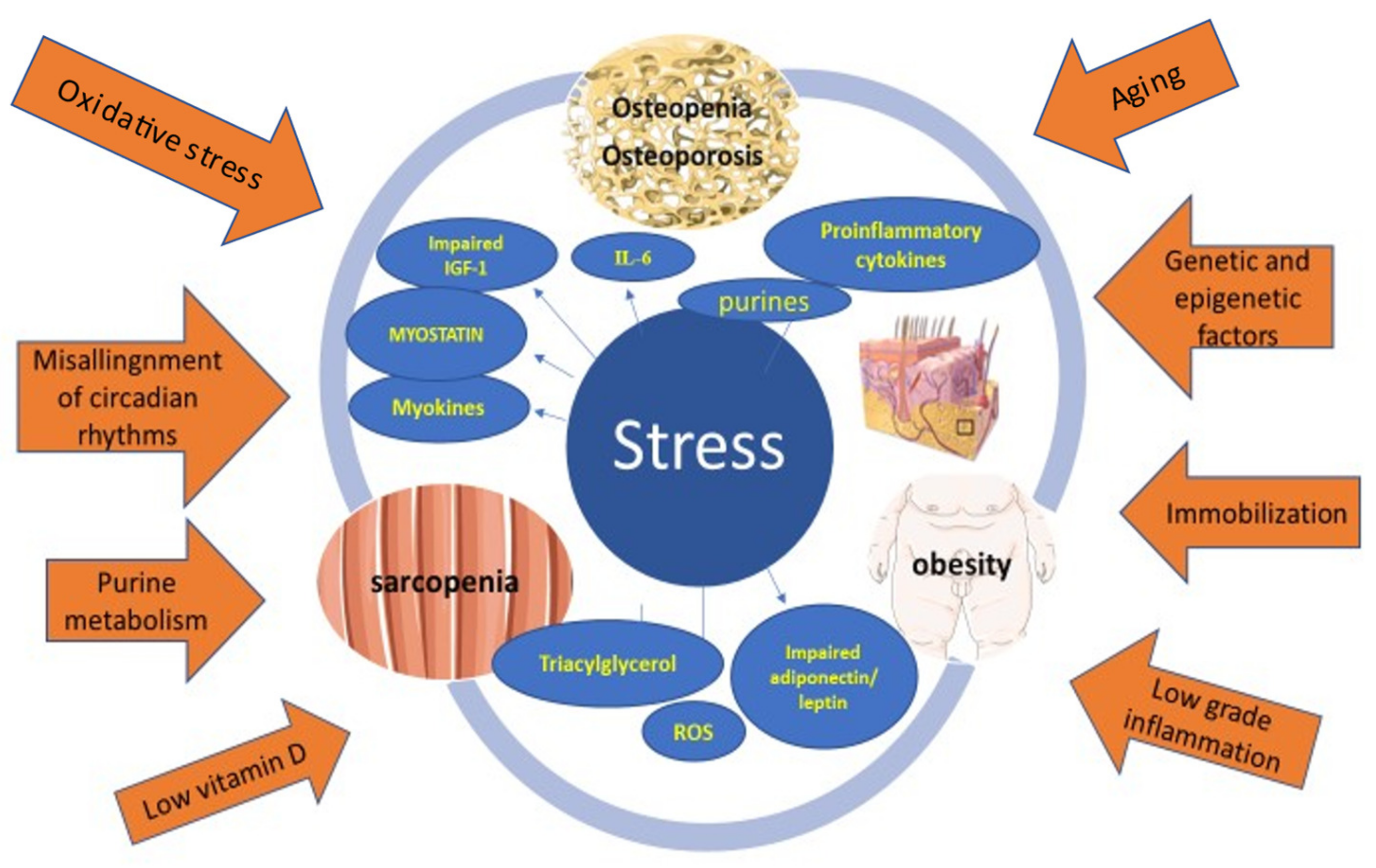 Endocrines 04 00029 g001