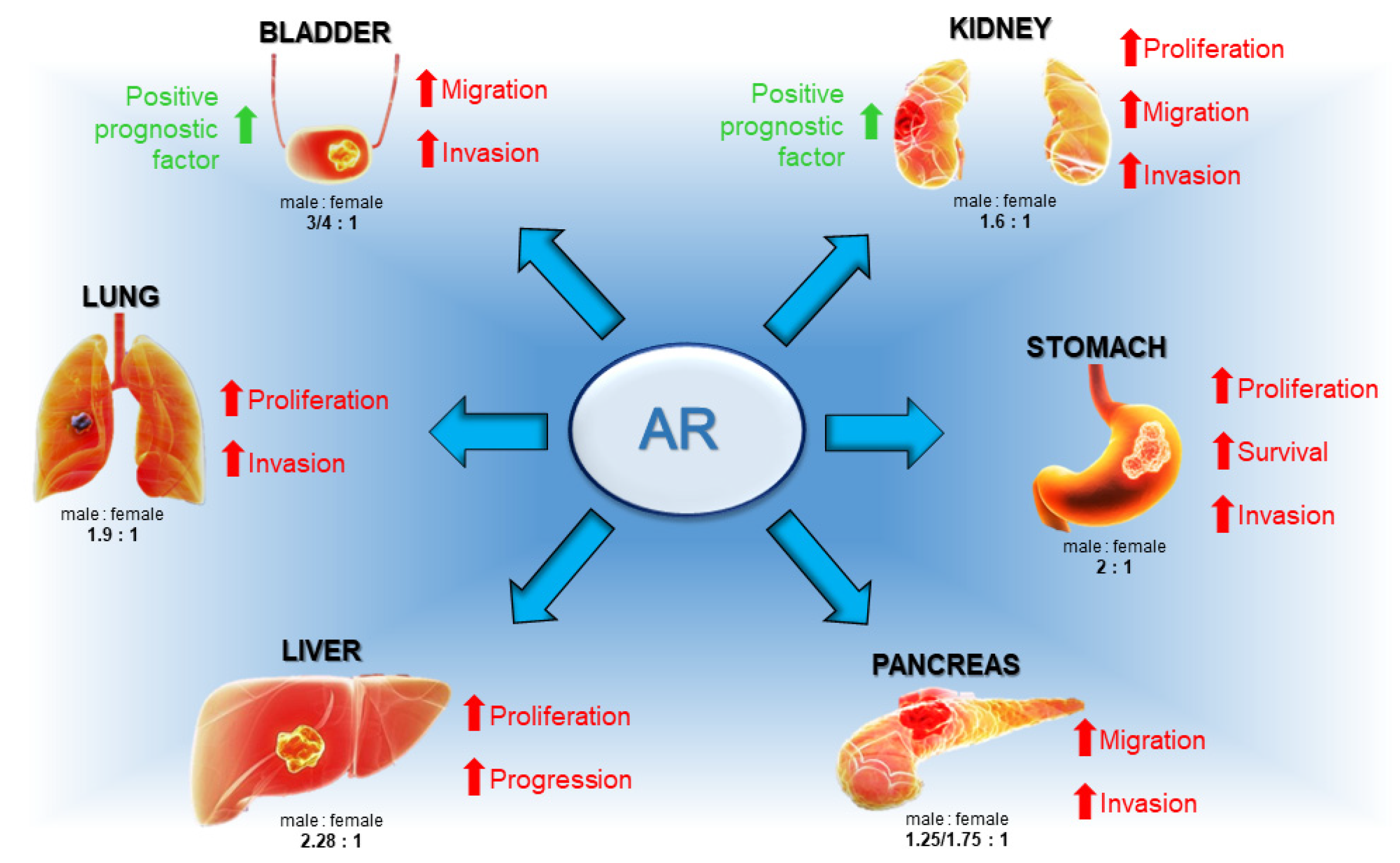 Endocrines 04 00031 g004