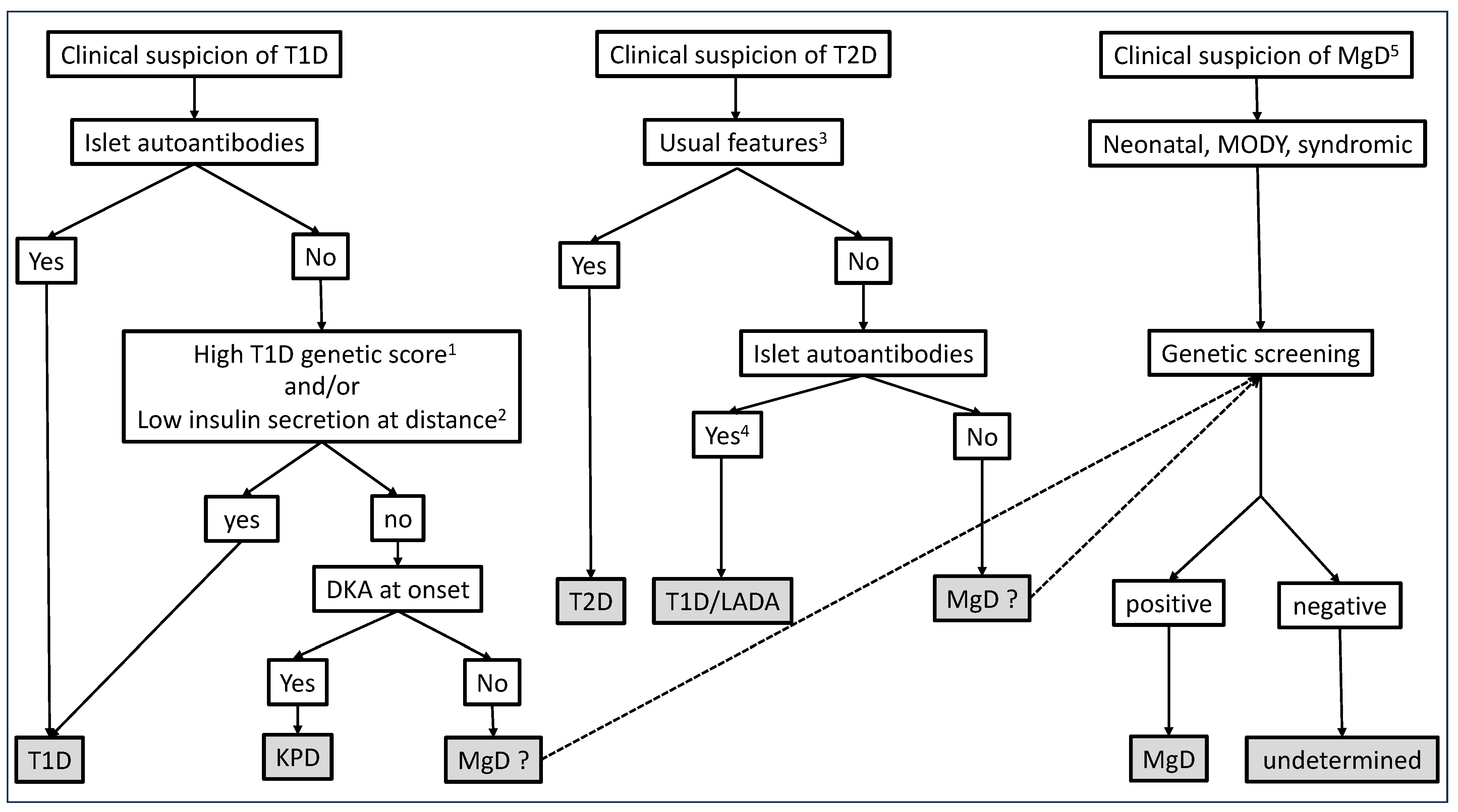 Endocrines 04 00033 g001