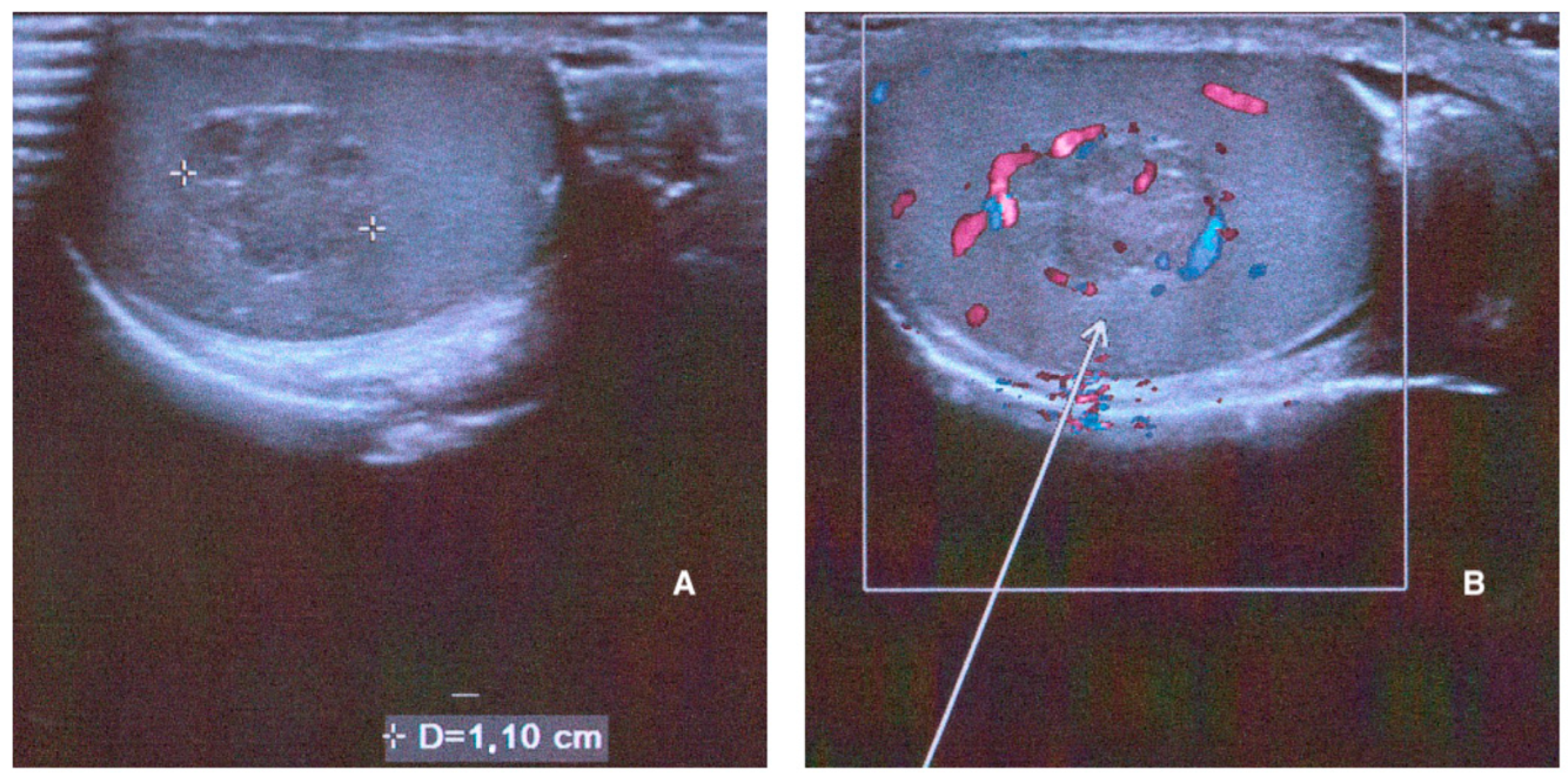 Endocrines 04 00046 g001