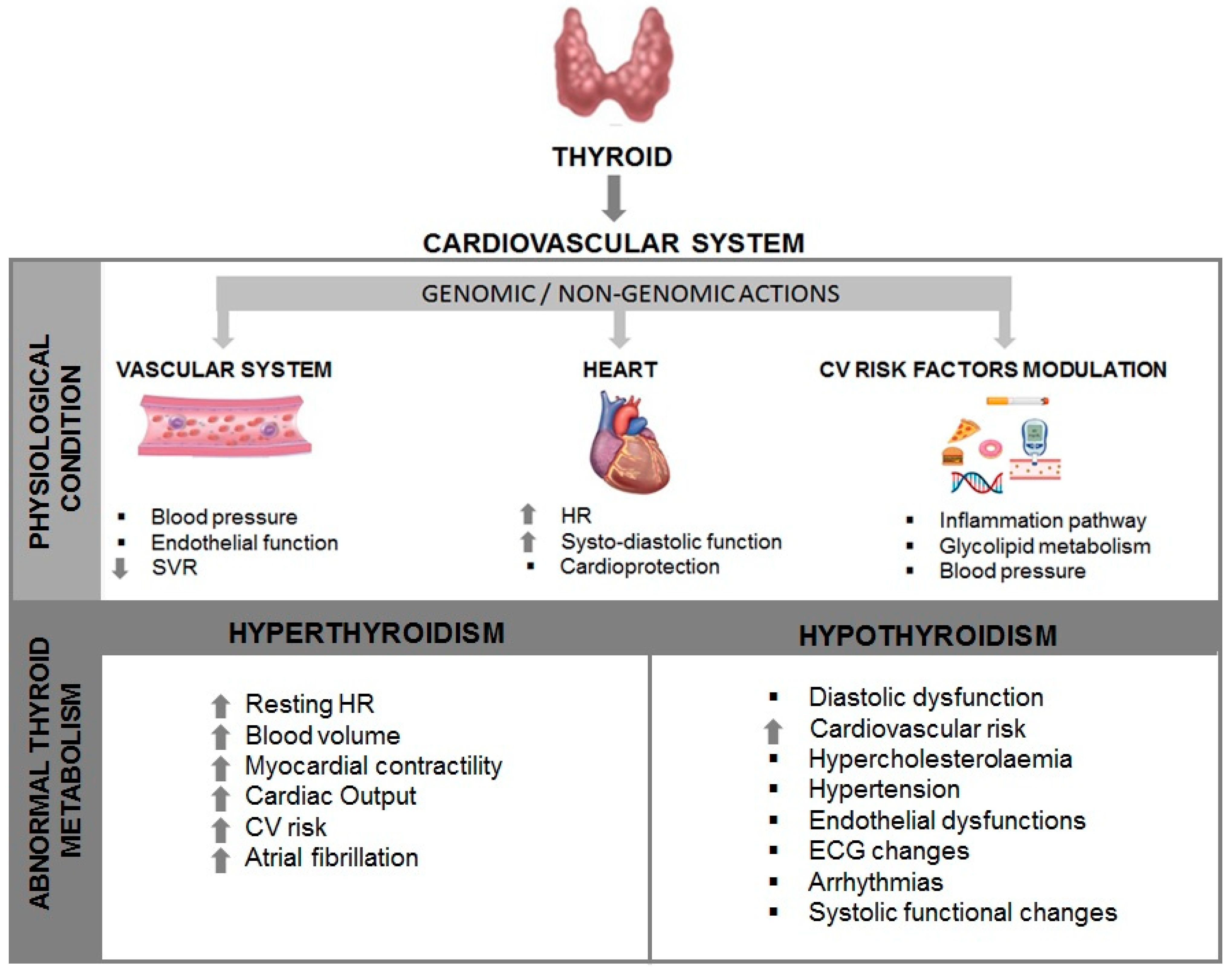 Endocrines 04 00053 g001 Endocrines 04 00053 g001