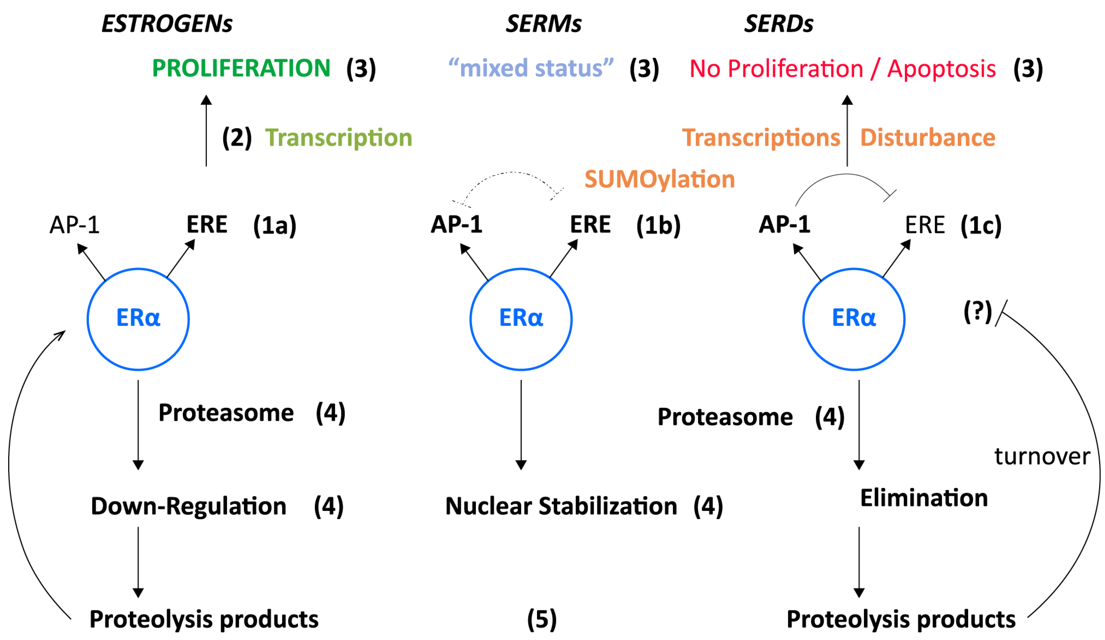 Endocrines 05 00007 g004