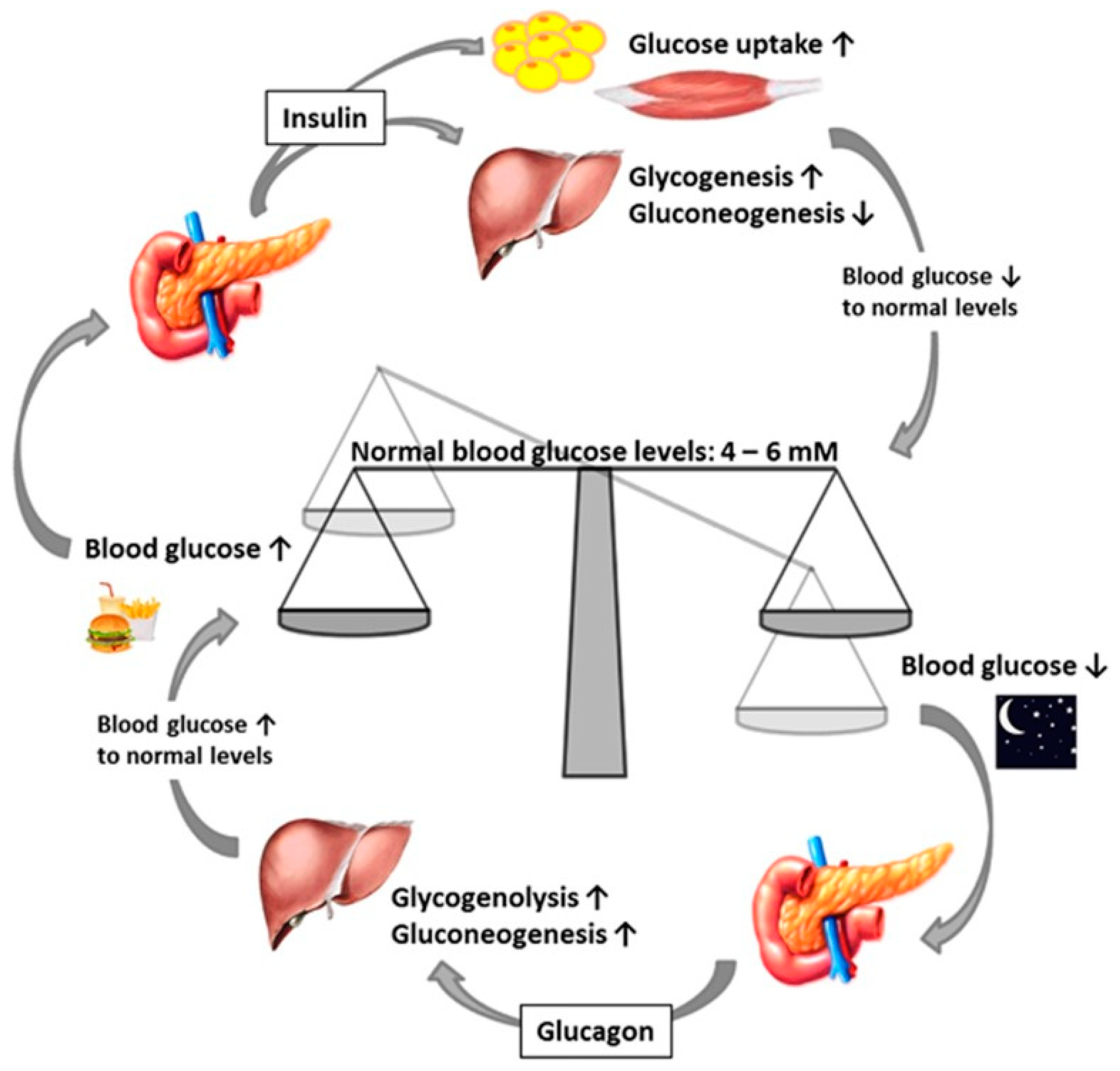 Endocrines 05 00011 g002