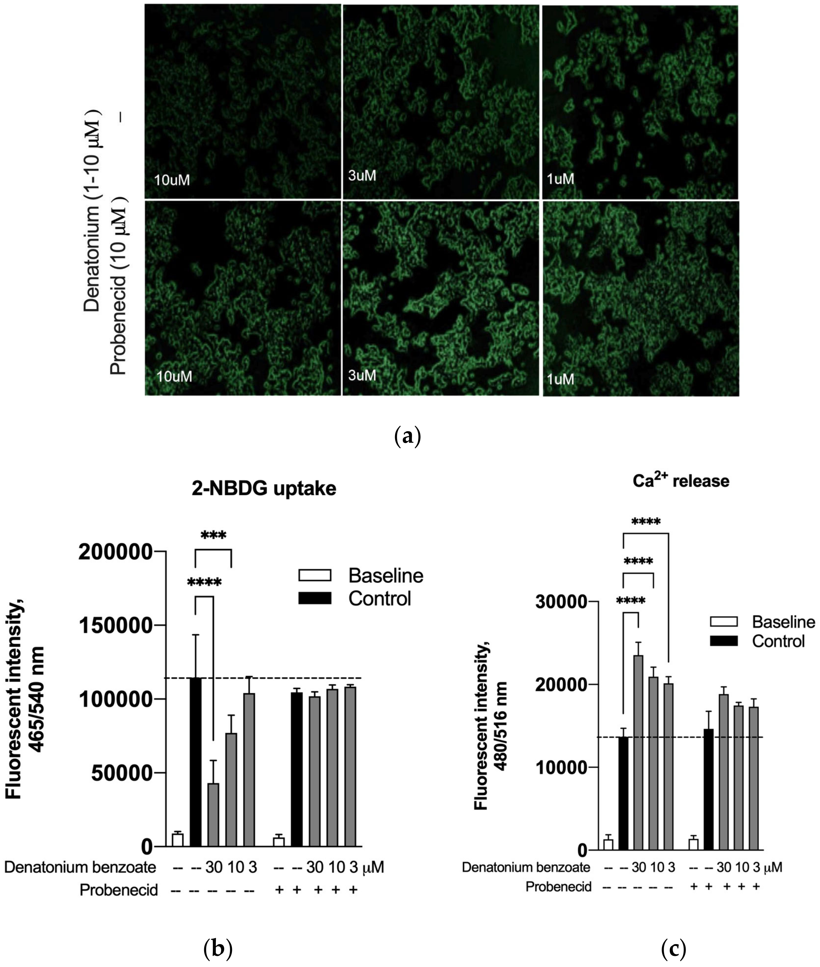 Endocrines 05 00022 g007