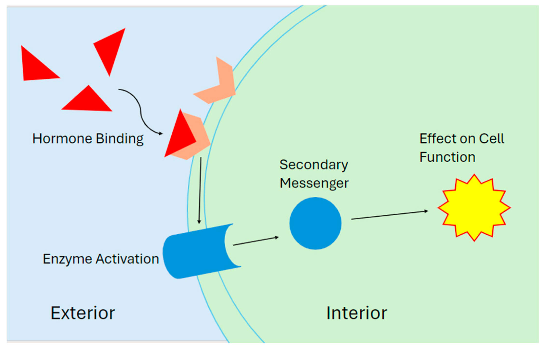 Endocrines 05 00027 g001