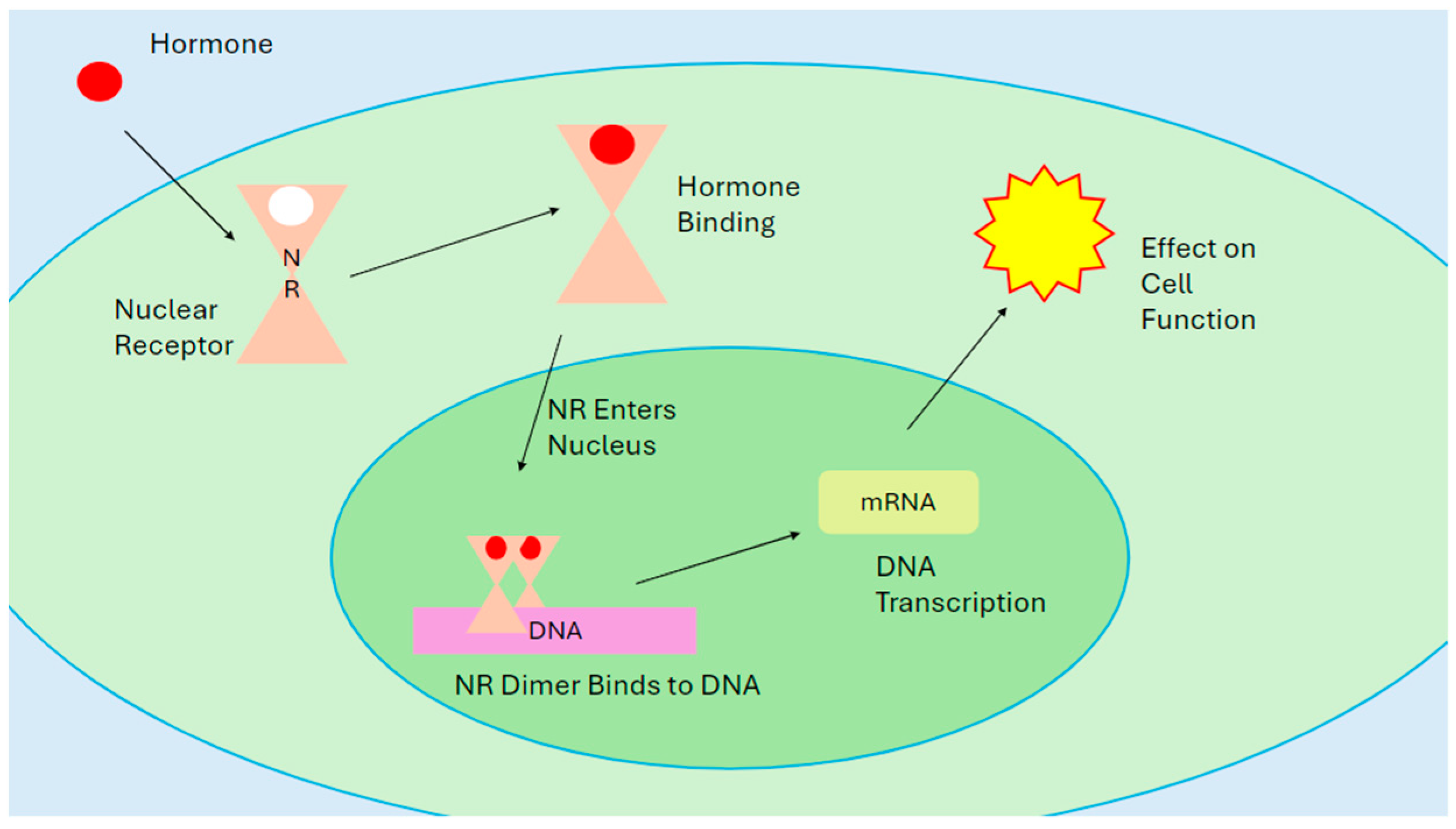 Endocrines 05 00027 g002