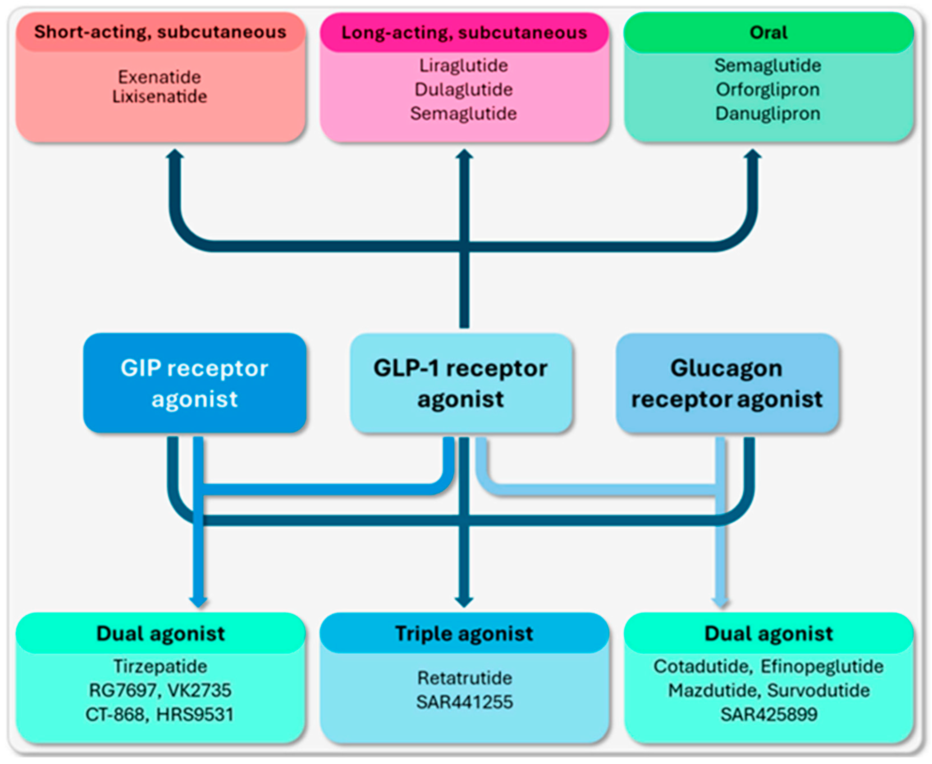 Endocrines 05 00029 g002