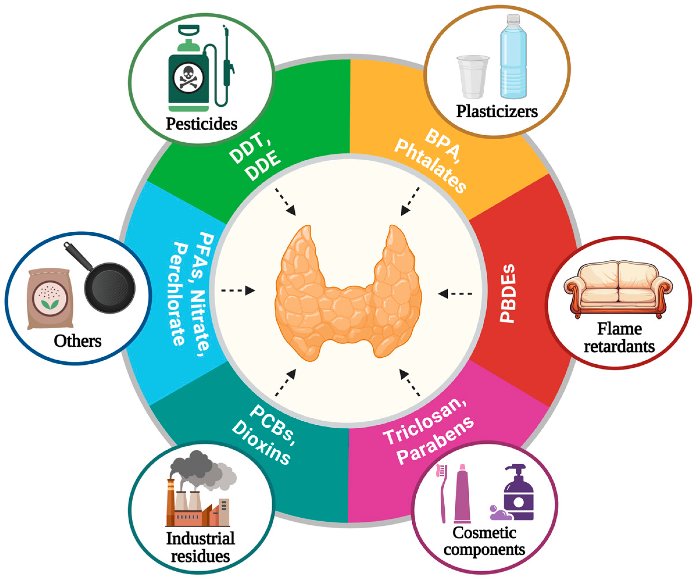 Endocrines 05 00032 g003
