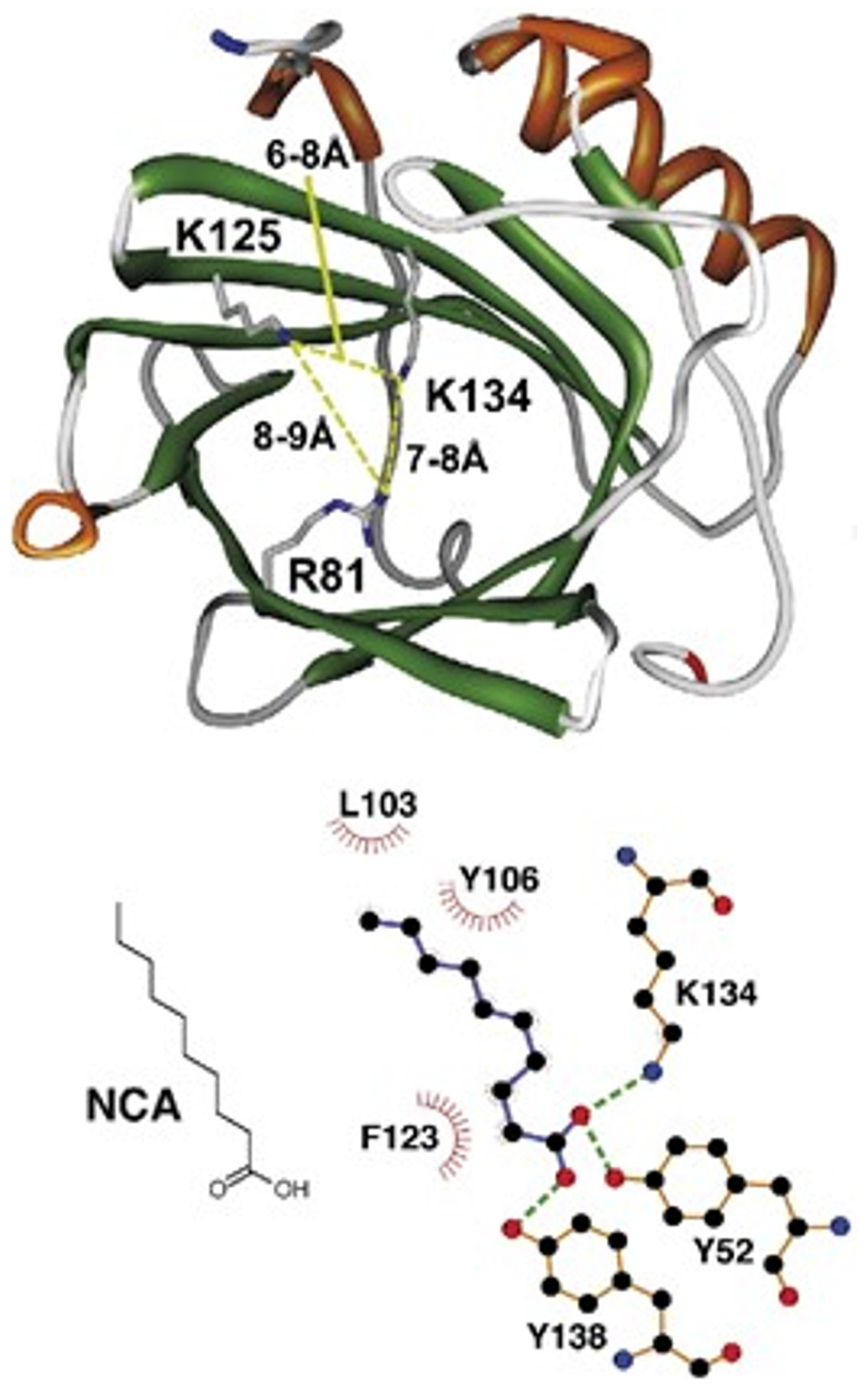 Endocrines 06 00004 g001 Endocrines 06 00004 g001