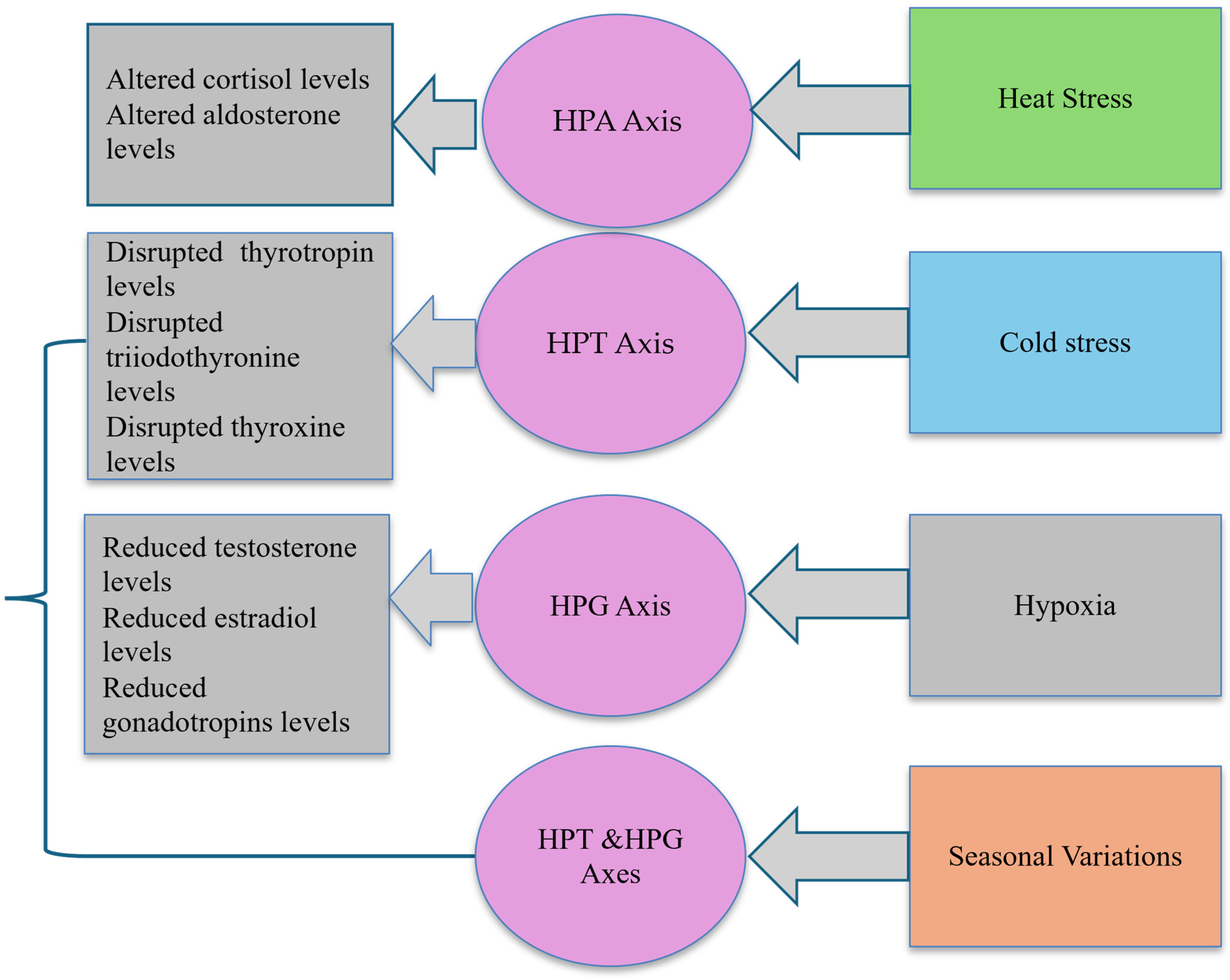 Endocrines 06 00005 g002