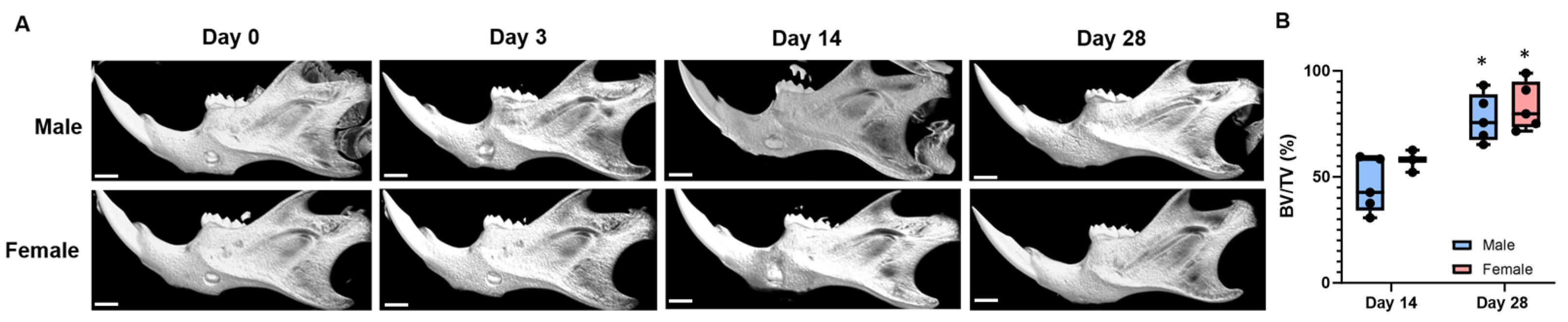 Endocrines 06 00009 g002