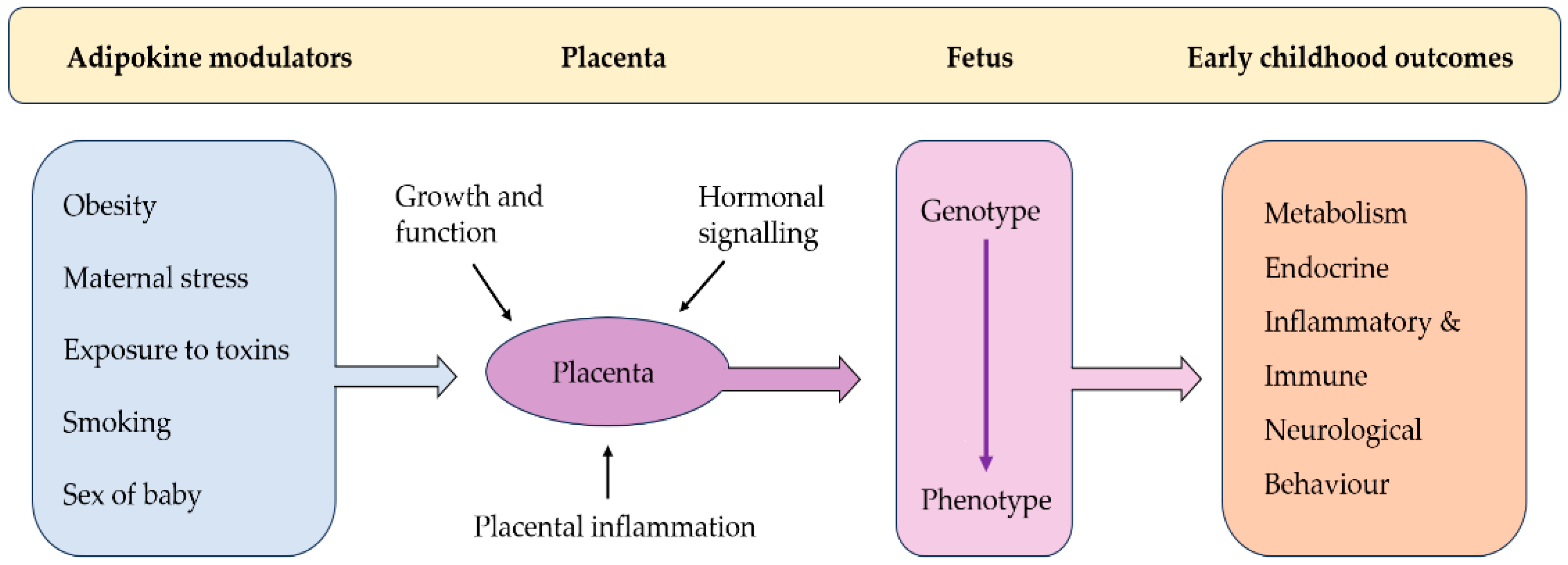 Endocrines 06 00013 g001