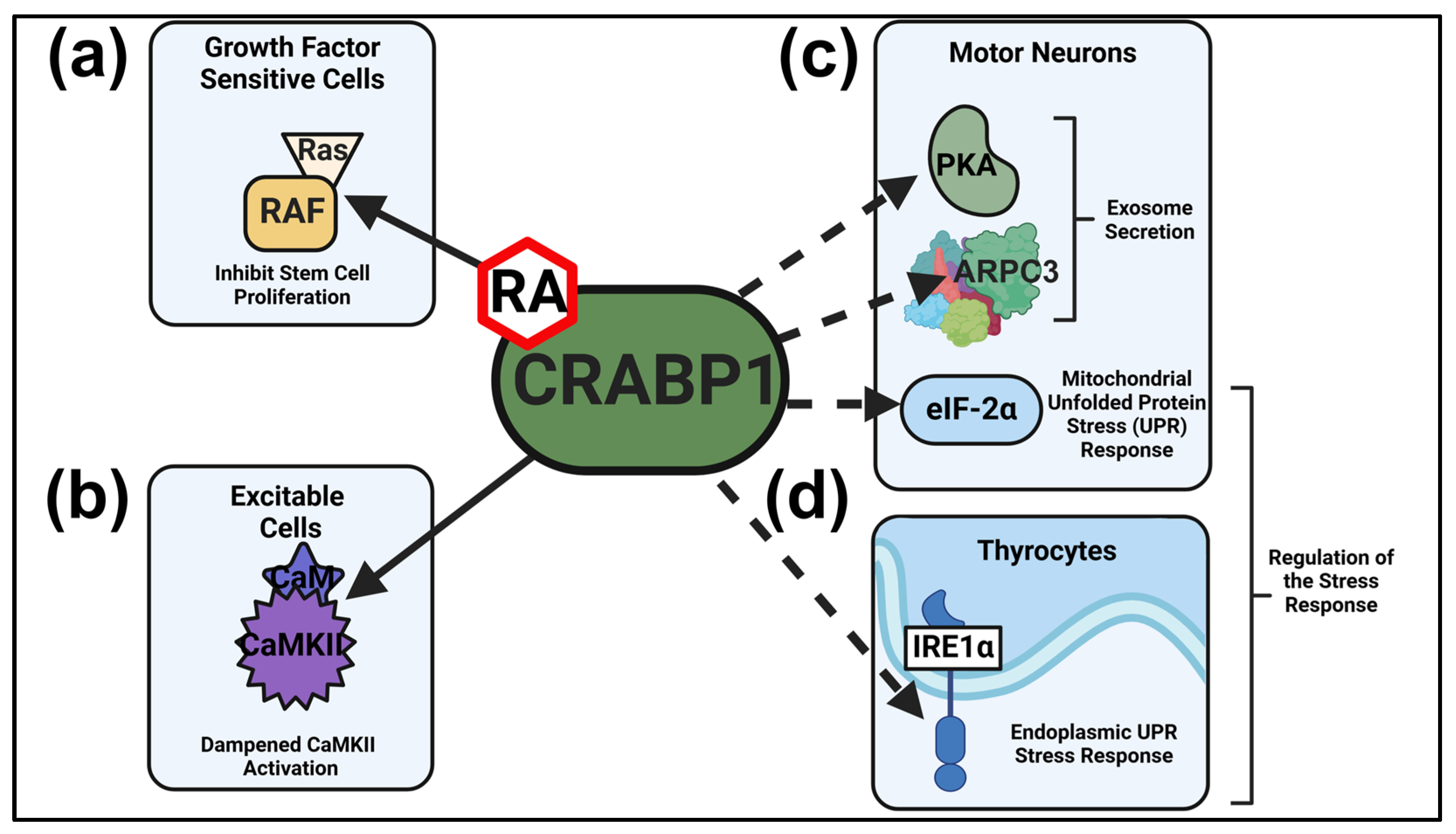 Endocrines 06 00026 g001 Endocrines 06 00026 g001