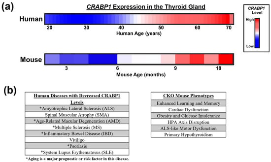 Endocrines 06 00026 g002