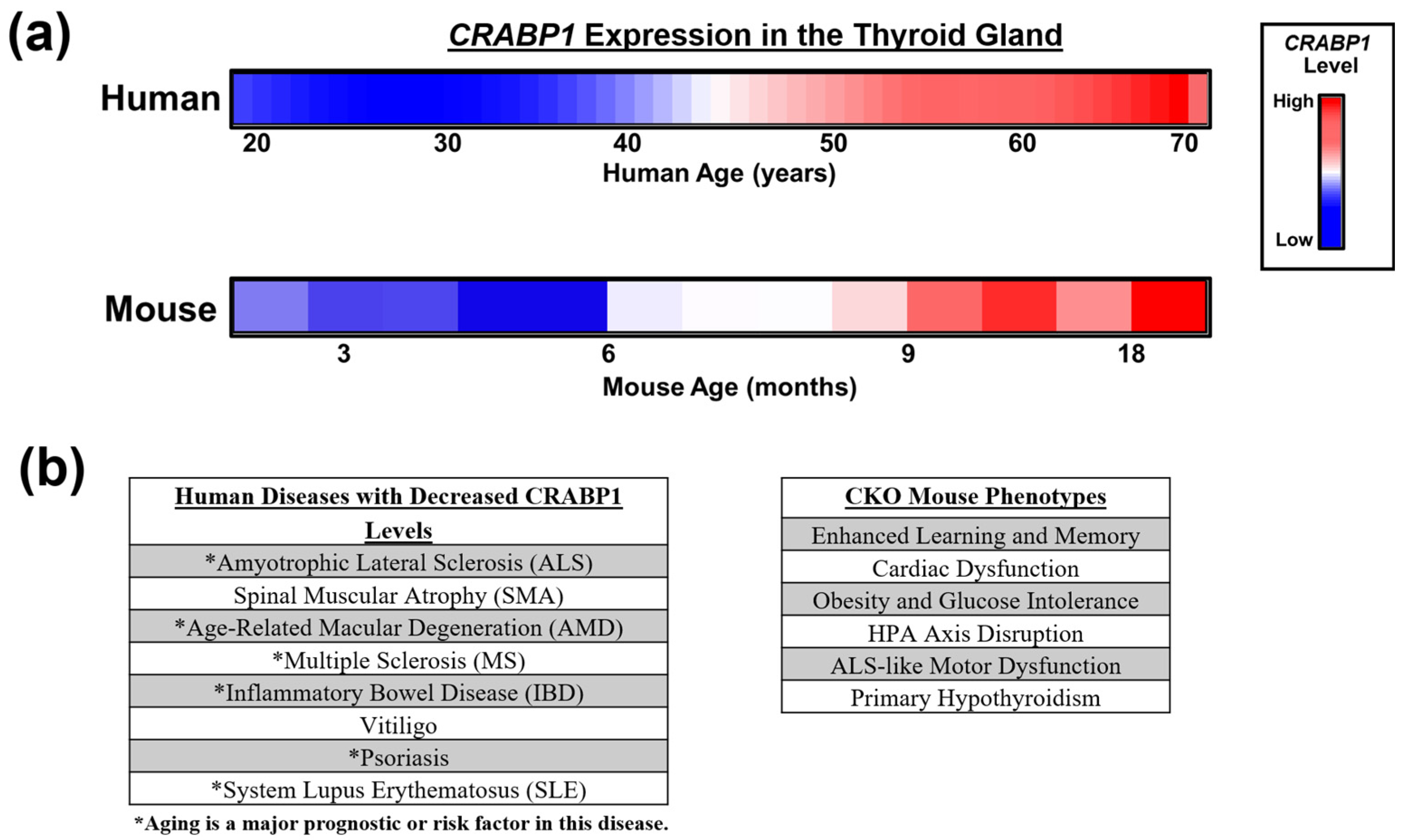 Endocrines 06 00026 g002 Endocrines 06 00026 g002