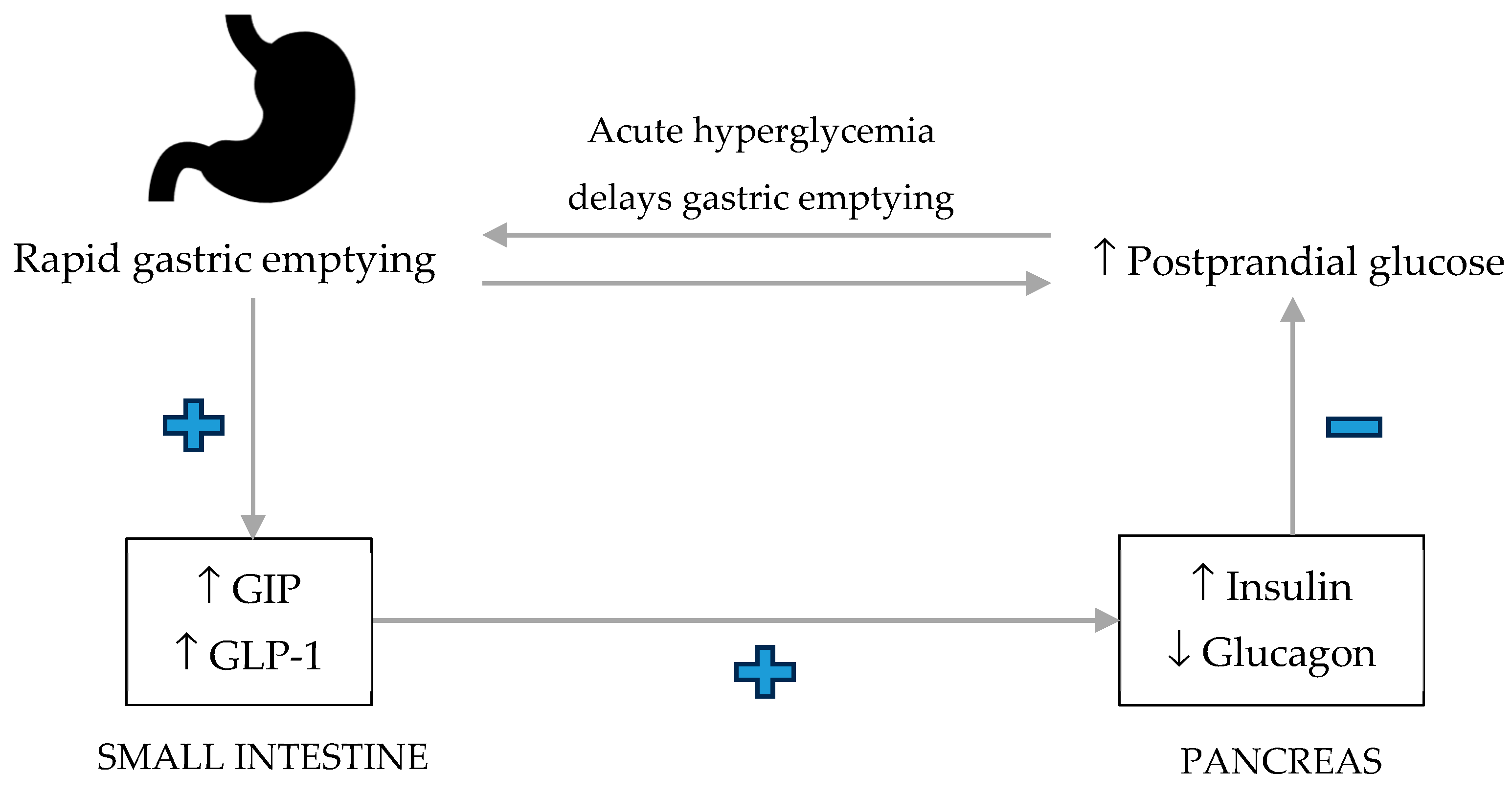 Endocrines 06 00040 g001 Endocrines 06 00040 g001