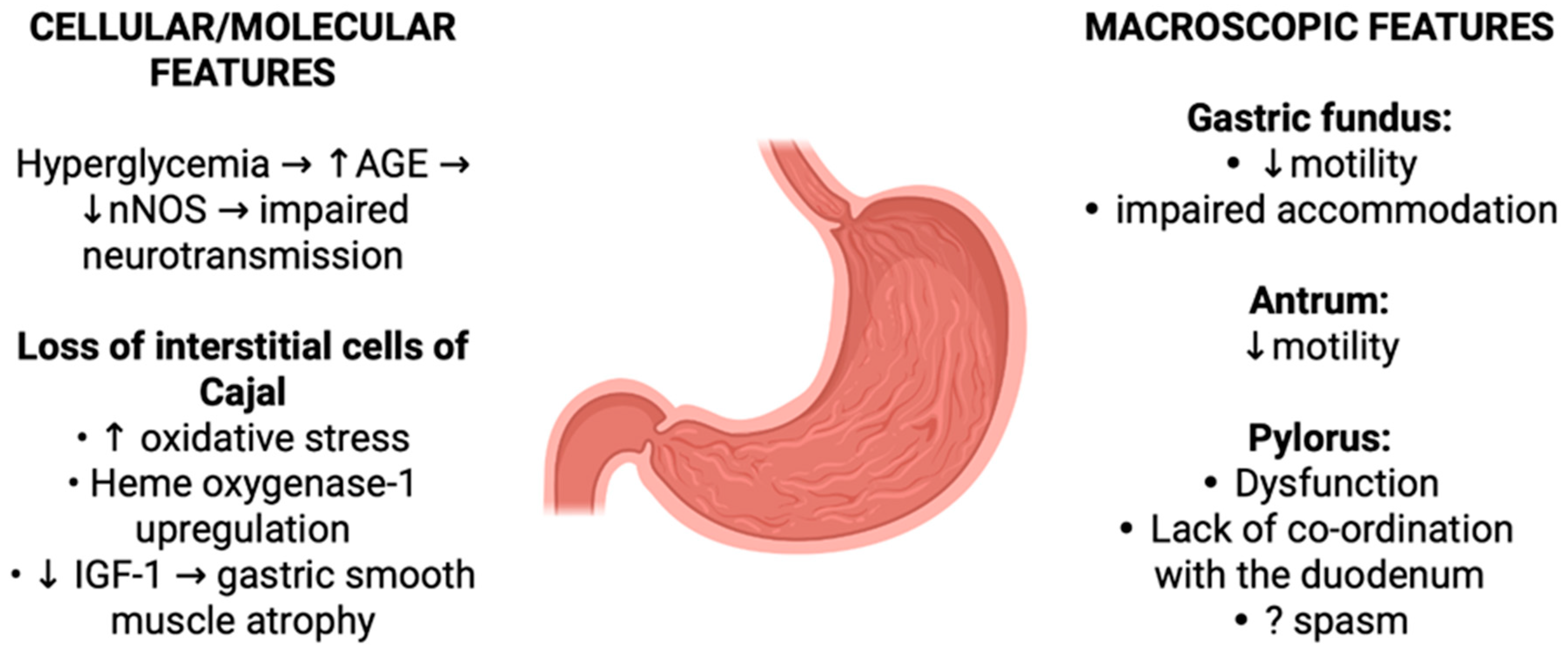 Endocrines 06 00040 g002 Endocrines 06 00040 g002