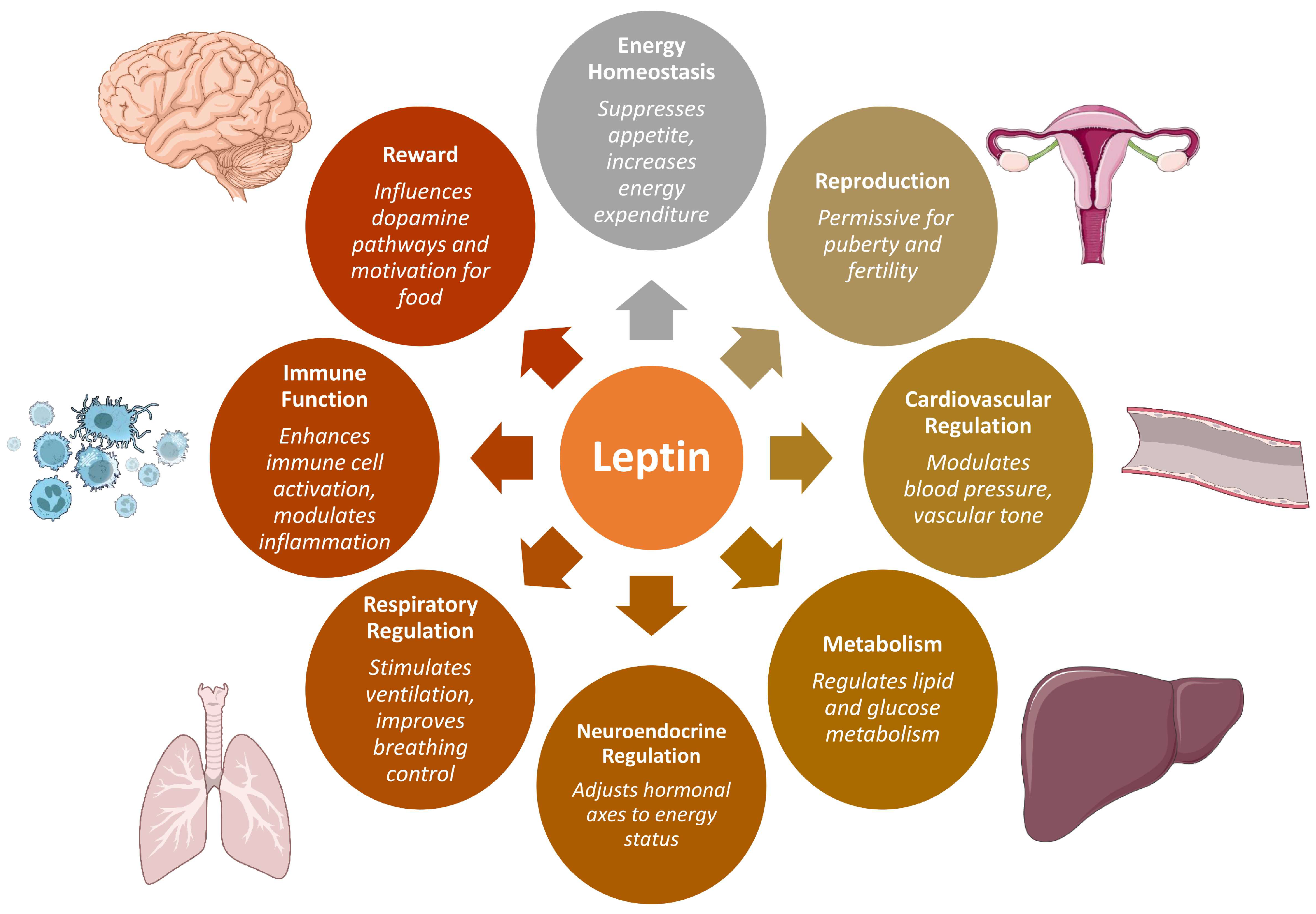 Endocrines 06 00042 g001 Endocrines 06 00042 g001