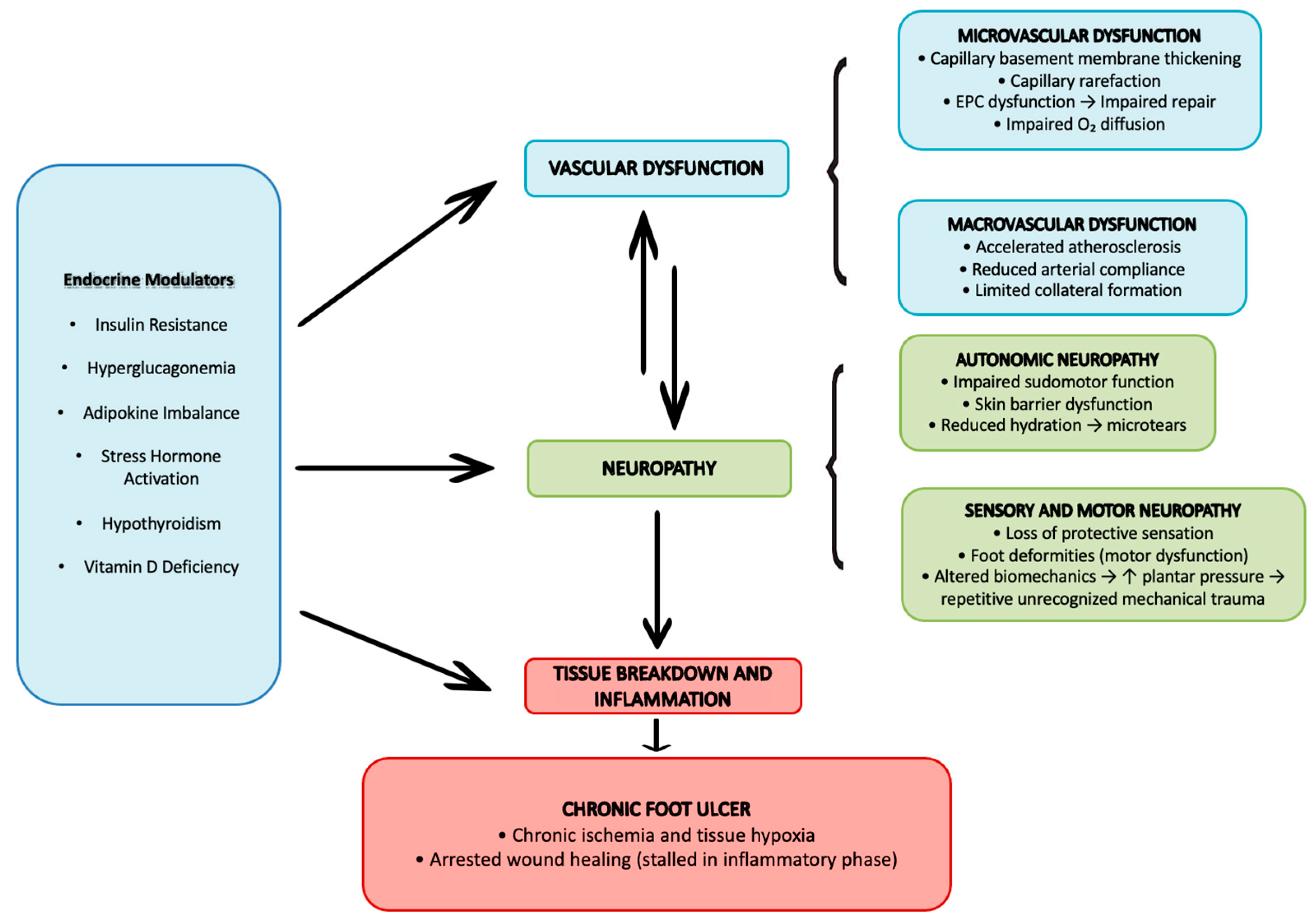 Endocrines 07 00004 g001