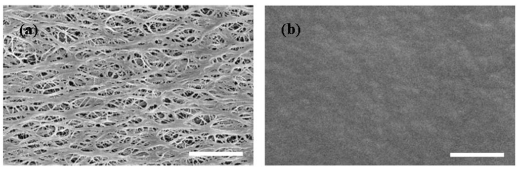 Energies 03 00866 g002 1024