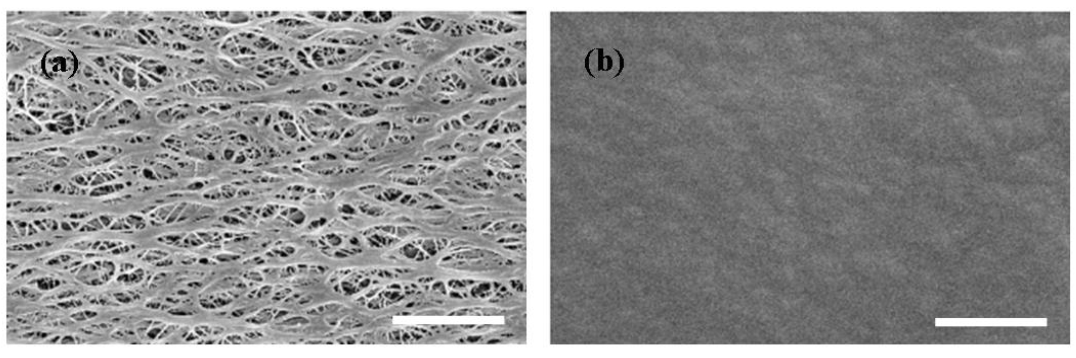 Energies 03 00866 g002