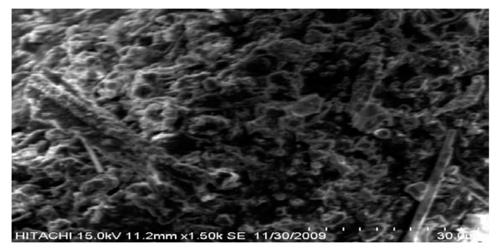 Energies 03 01344 g002 1024