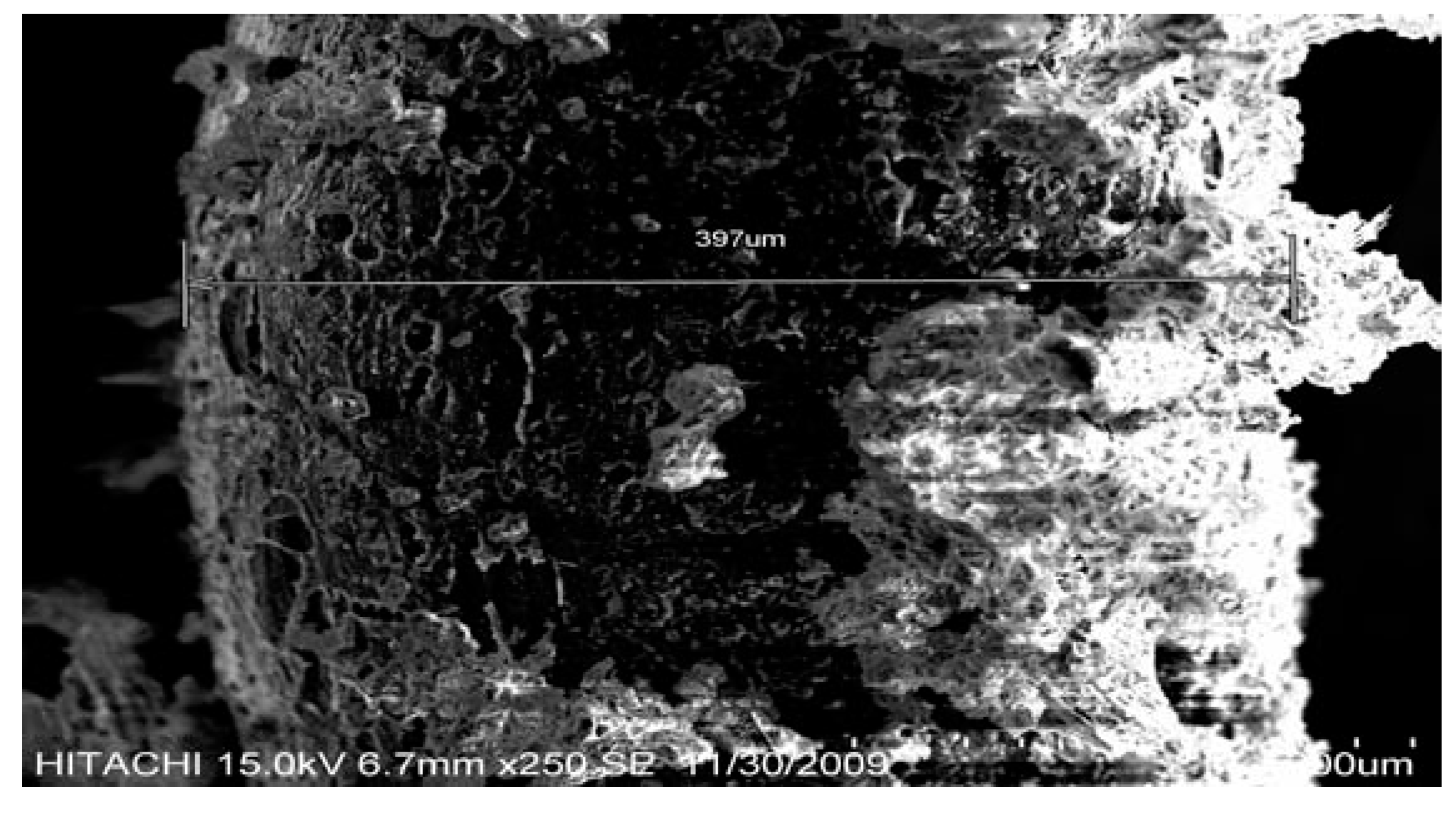 Energies 03 01344 g003