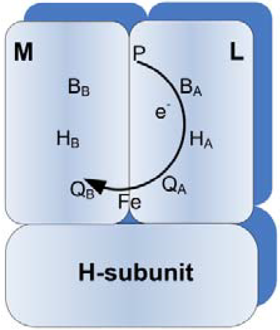 Energies 03 01721 g001 1024