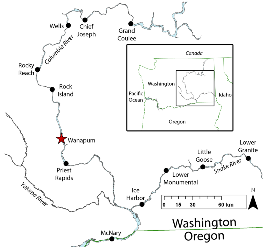 Energies 04 00057 g001 1024