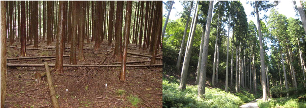 Energies 04 01051 g001 1024