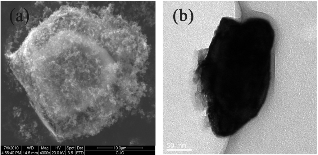 Energies 06 03466 g003 1024