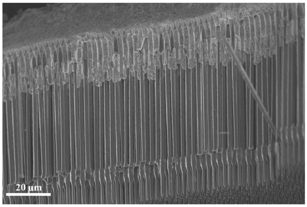 Energies 06 05145 g001 1024