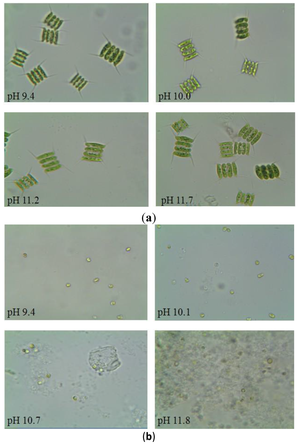 Energies 07 06186 g003 1024