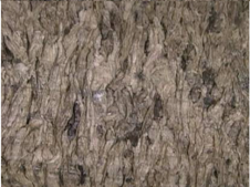 Energies 08 06382 i003