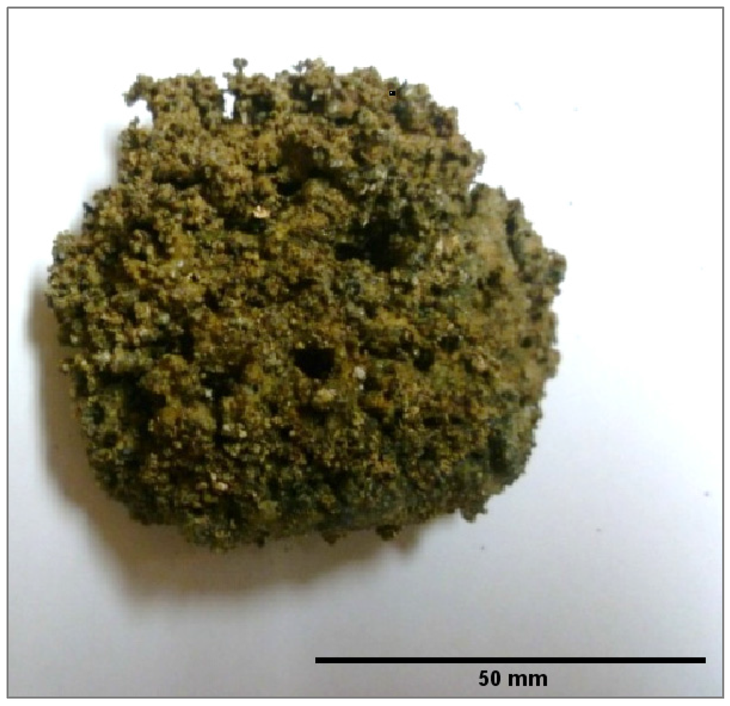 Energies 08 09794 g003 1024