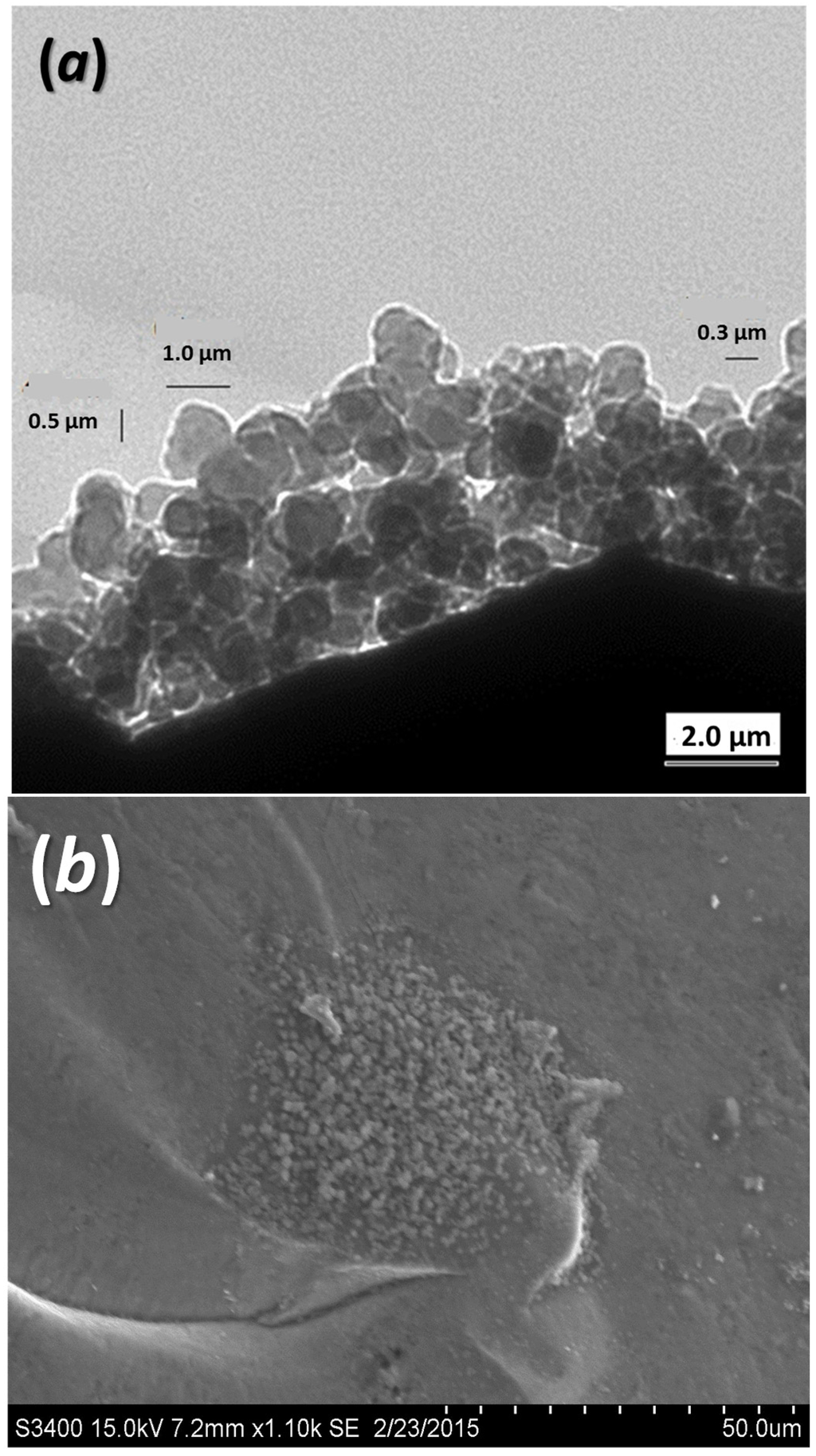 Energies 08 10958 g002 1024