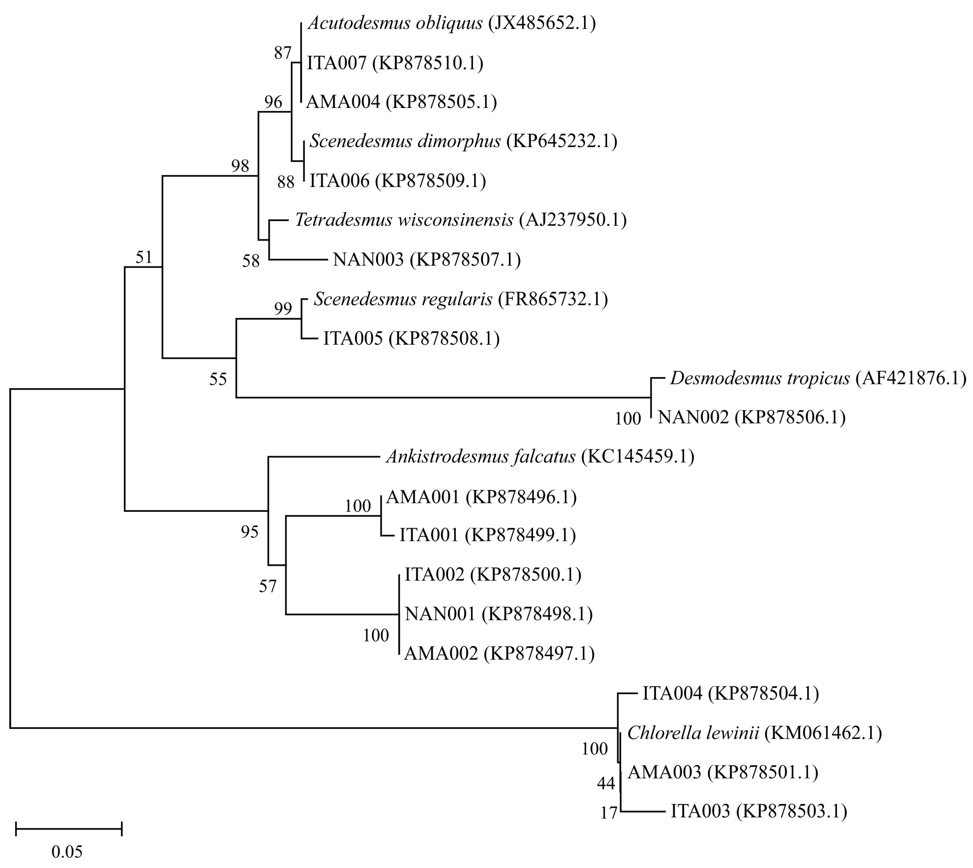Energies 10 00224 g001