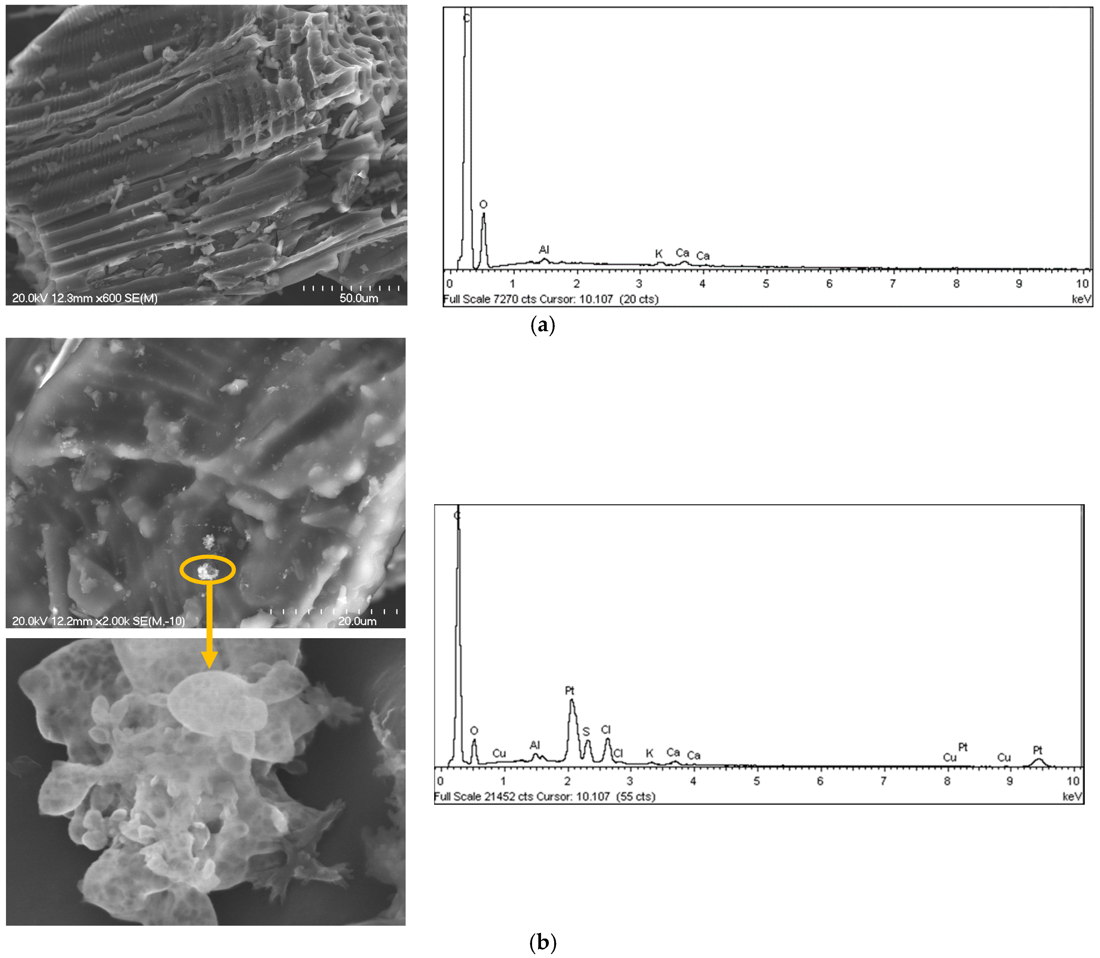 Energies 10 00286 g001