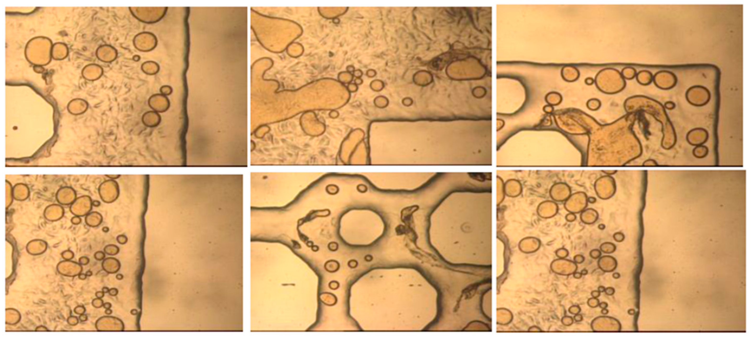 Energies 10 00345 g012