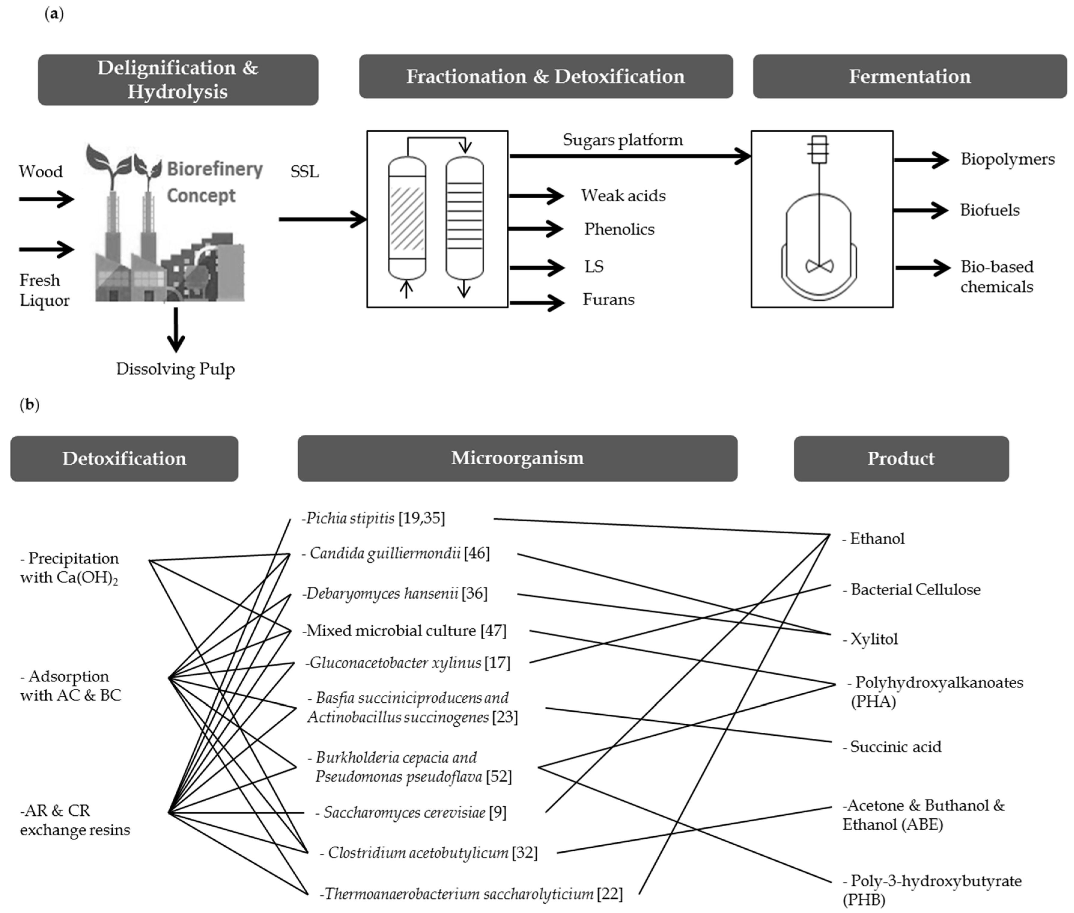 Energies 10 00348 g005