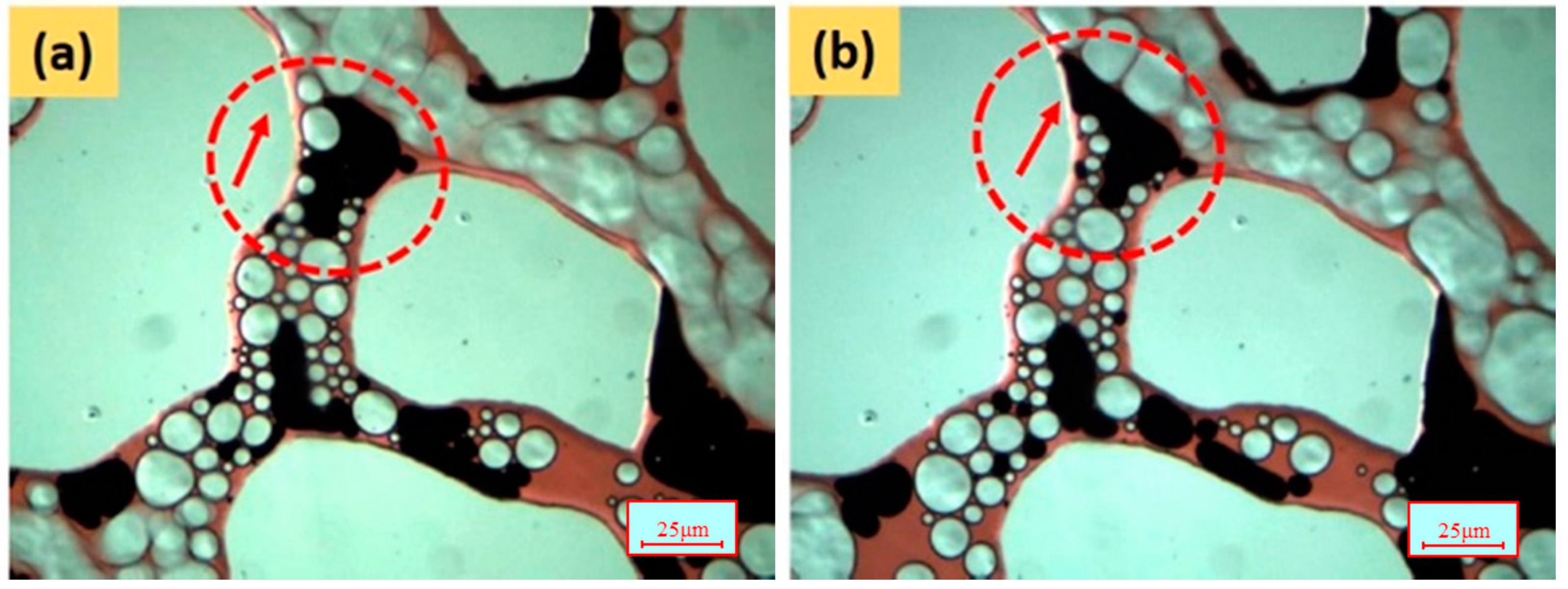 Energies 10 00560 g025