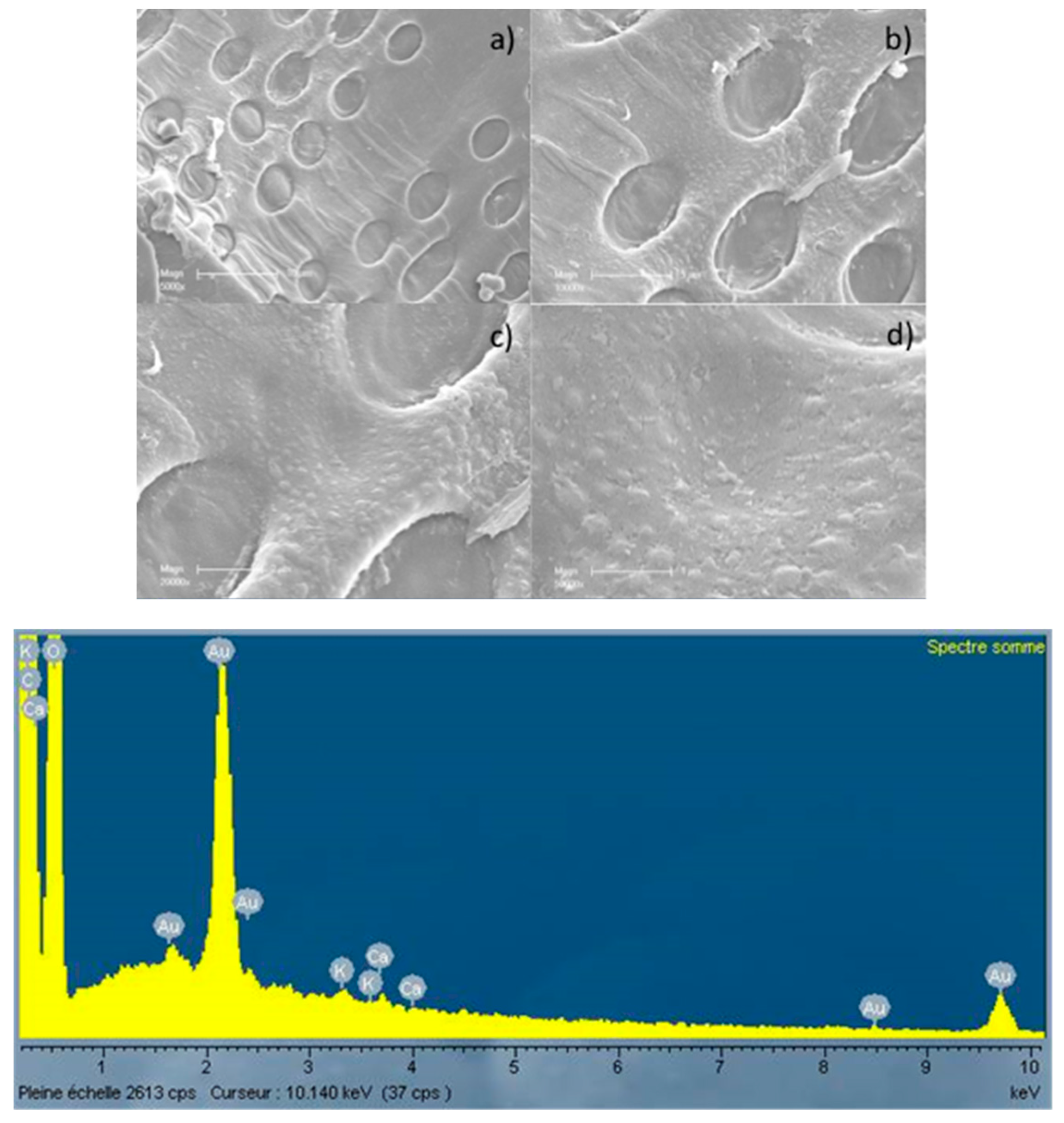 Energies 10 00796 g002