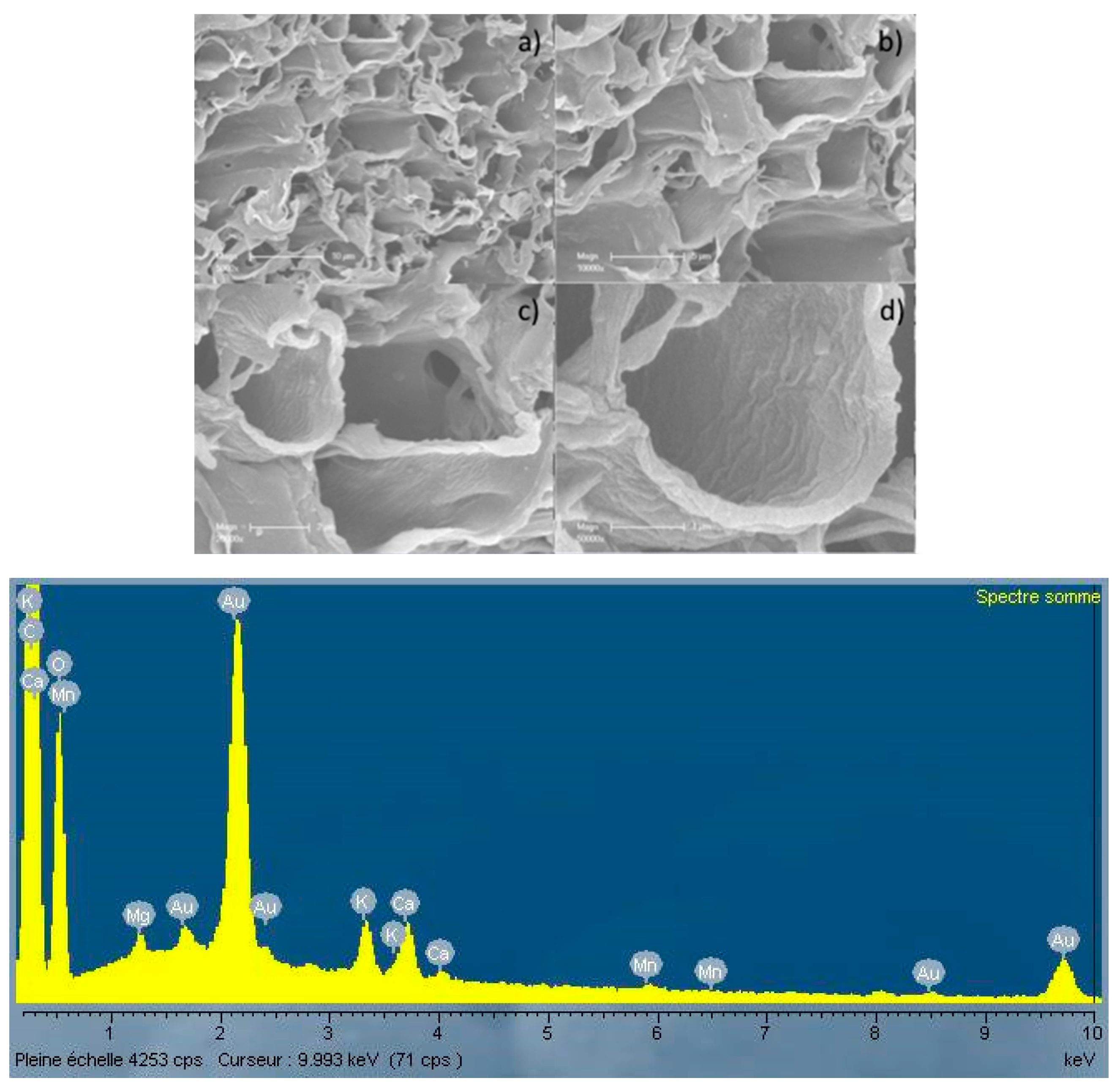 Energies 10 00796 g003