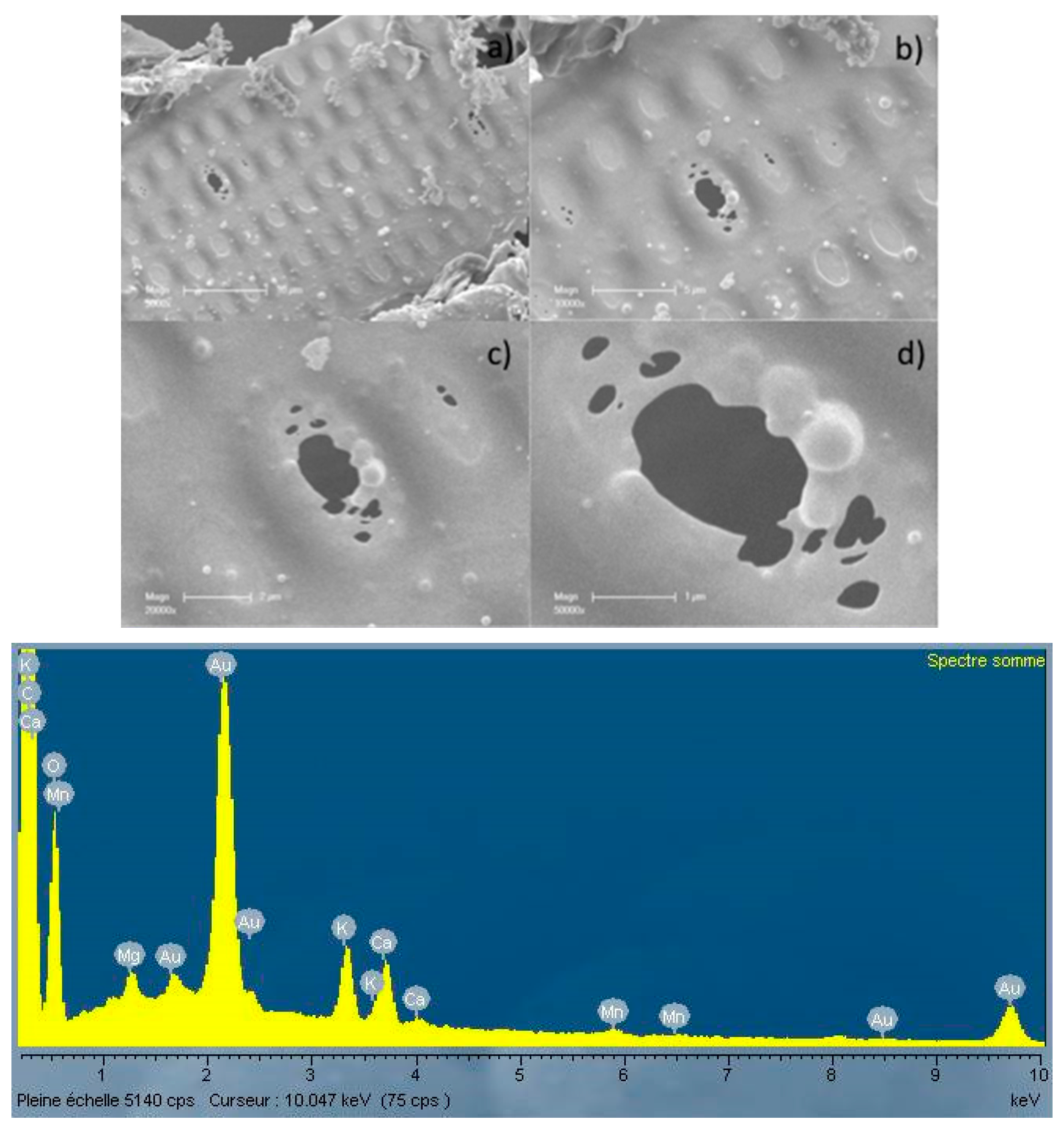 Energies 10 00796 g004