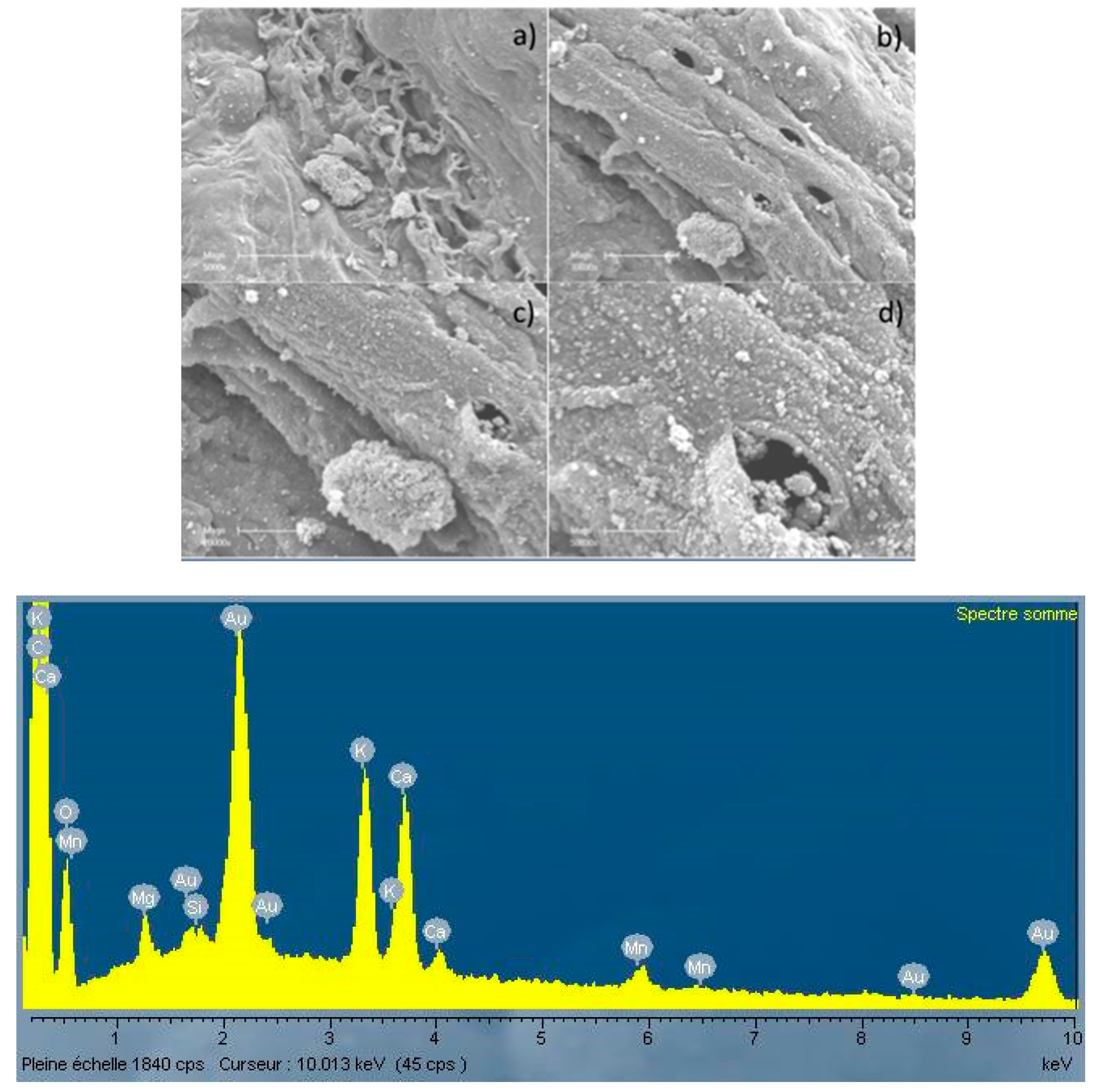 Energies 10 00796 g005