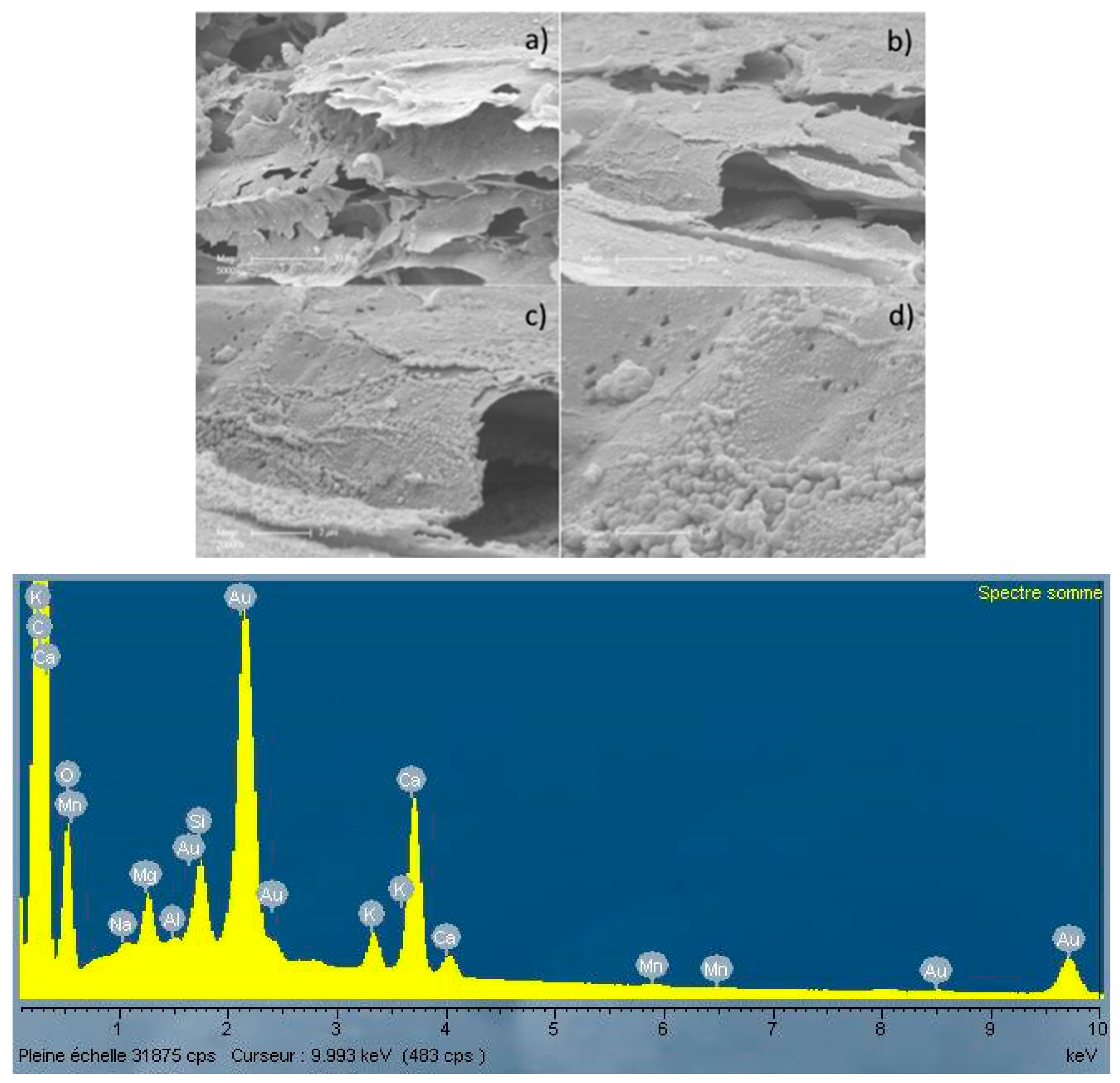 Energies 10 00796 g006