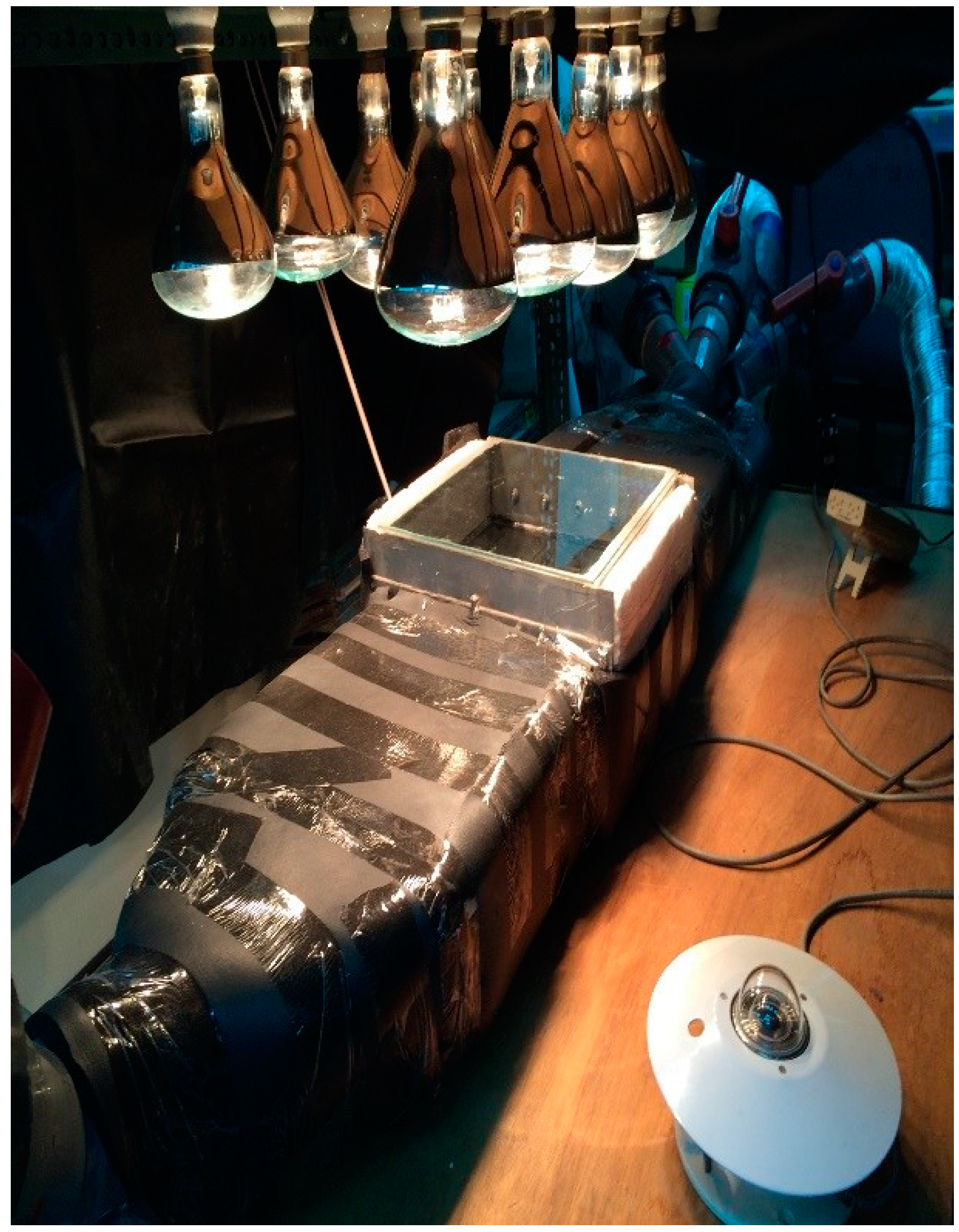 Energies 10 00875 g005